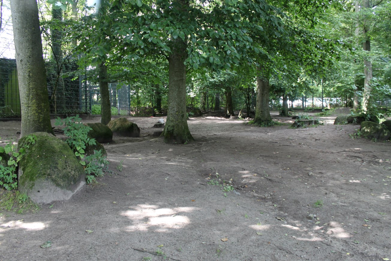 Aalborg Zoo - Wild dog exhibit