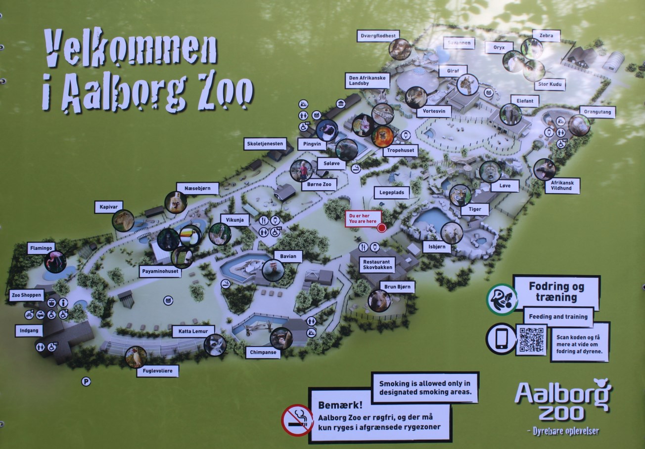 Aalborg Zoo - Zoo map