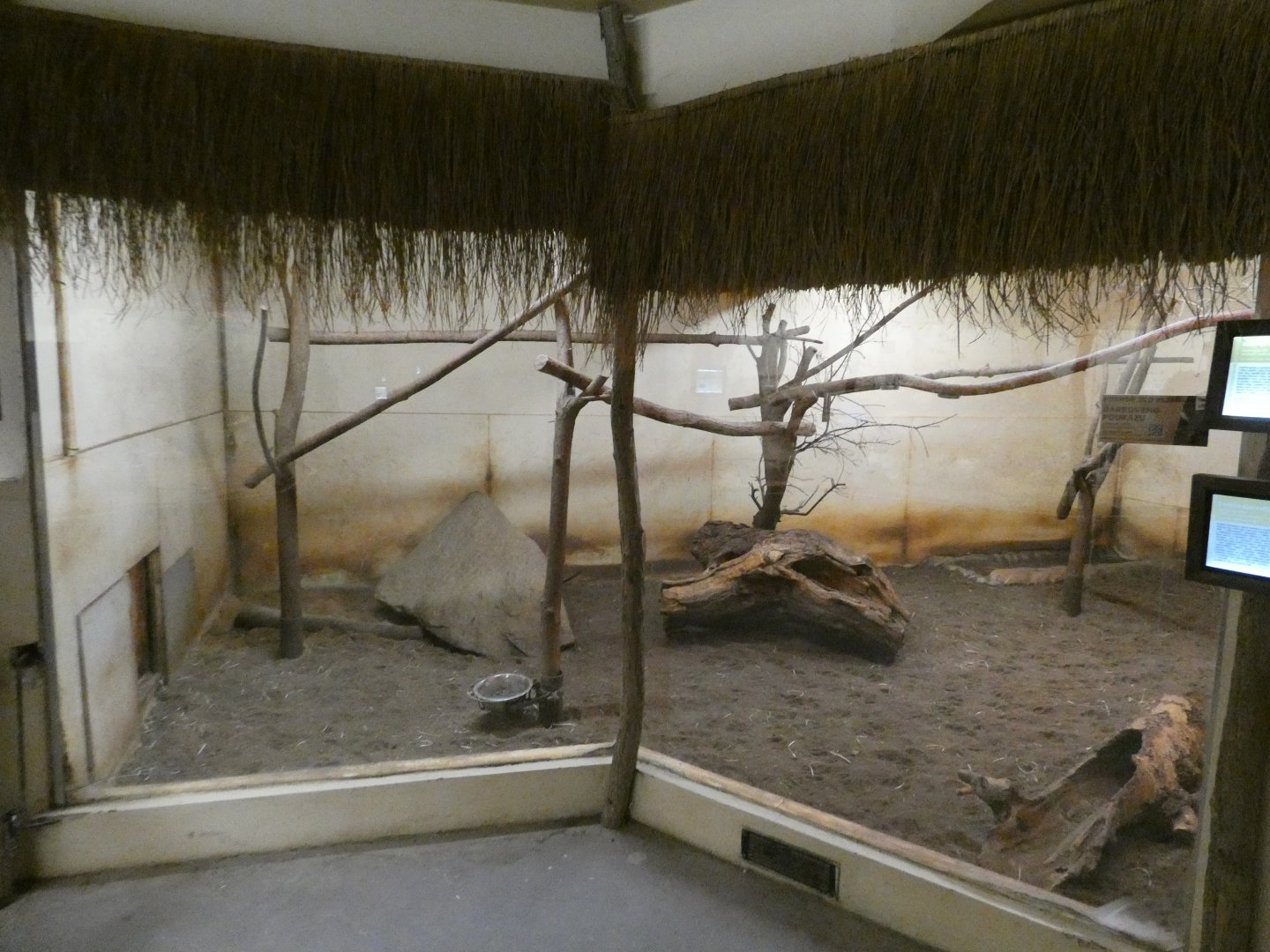 Aardvark and Garnett's greater galago enclosure