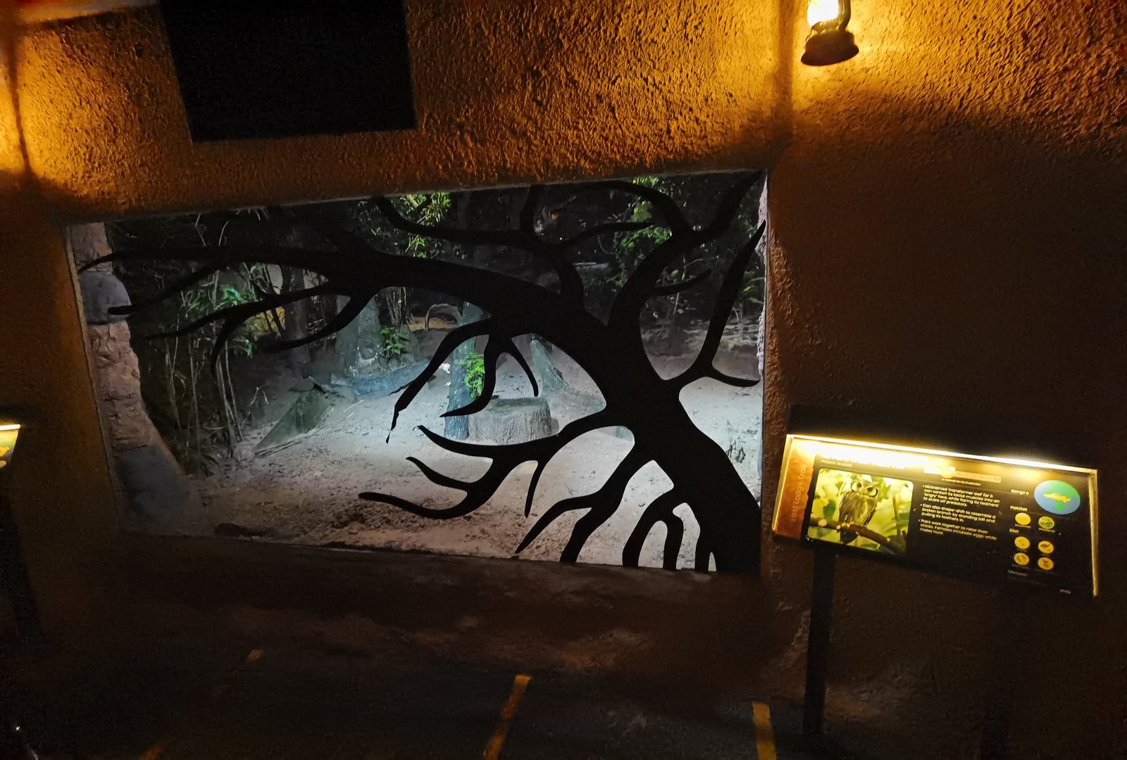 Aardvark and Northern white-faced owl exhibit