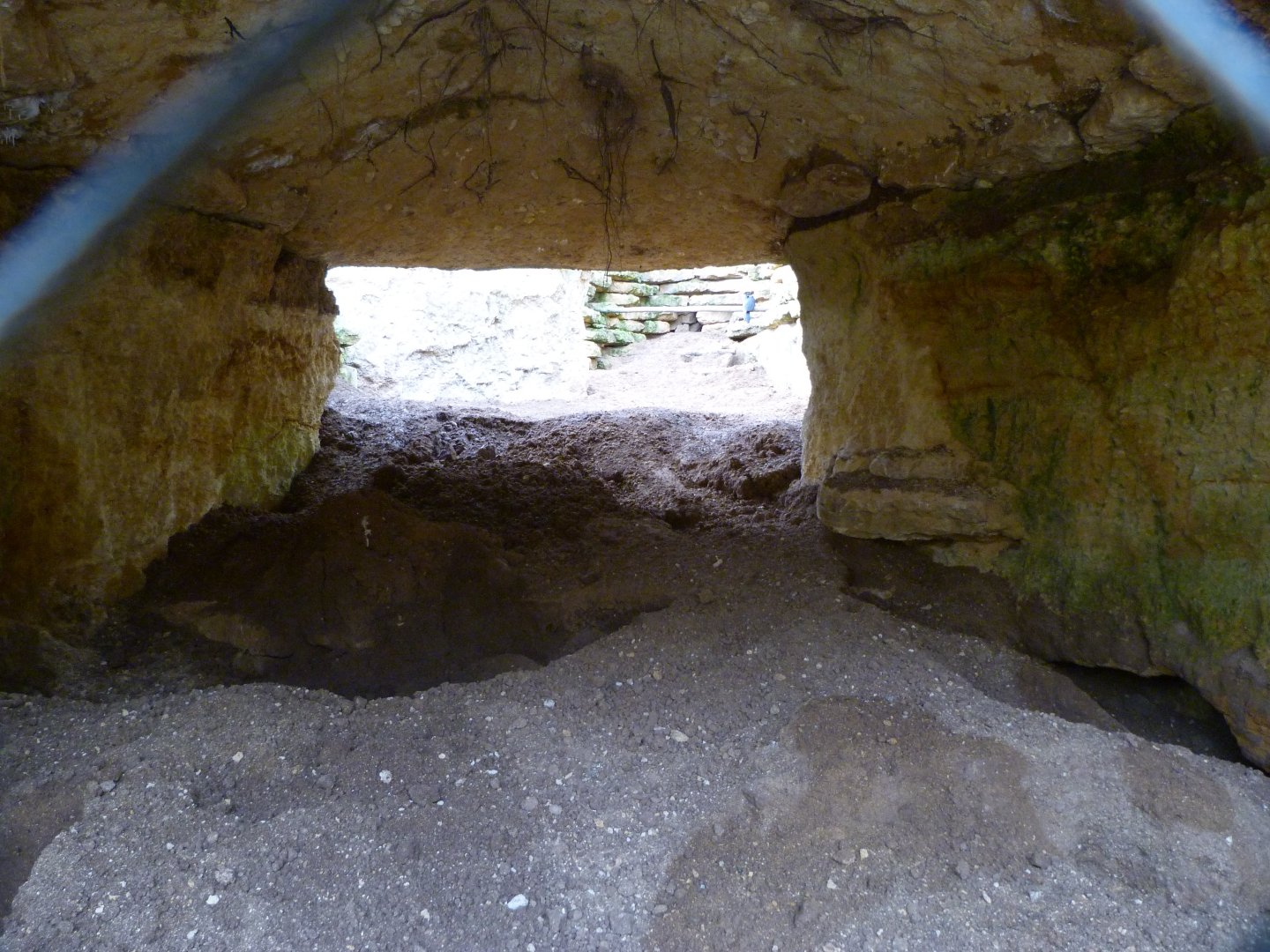 Aardvark and Southern ground hornbill exhibit -Bioparc de Doué la Fontaine (2025)