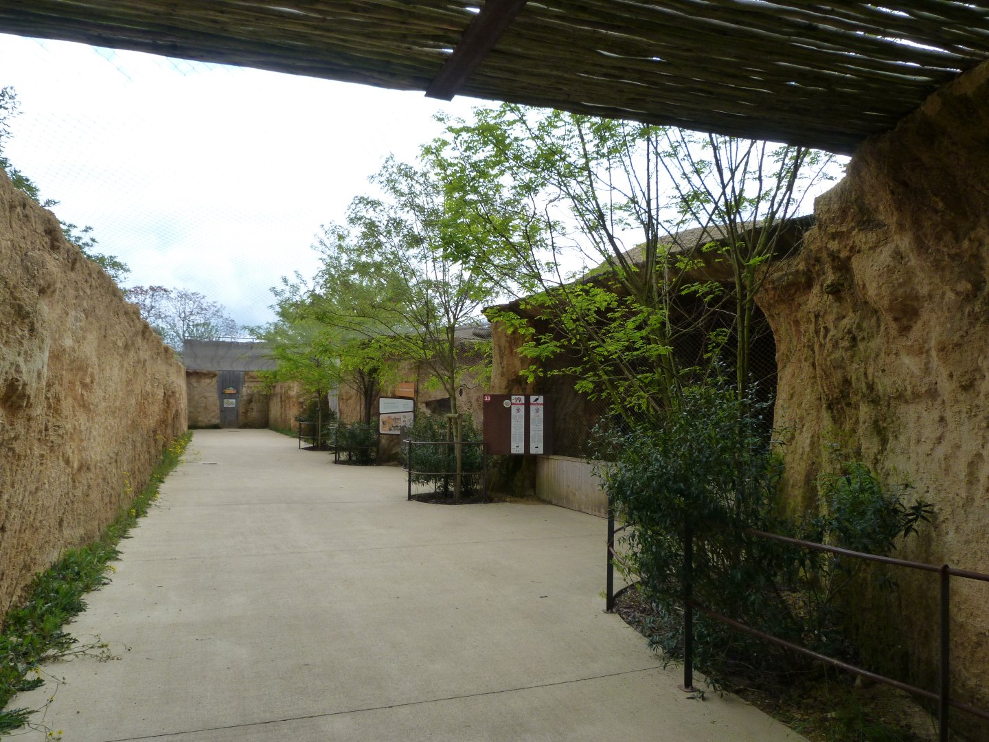 Aardvark and Southern ground hornbill exhibit viewing area -Bioparc de Doué la Fontaine (2025)