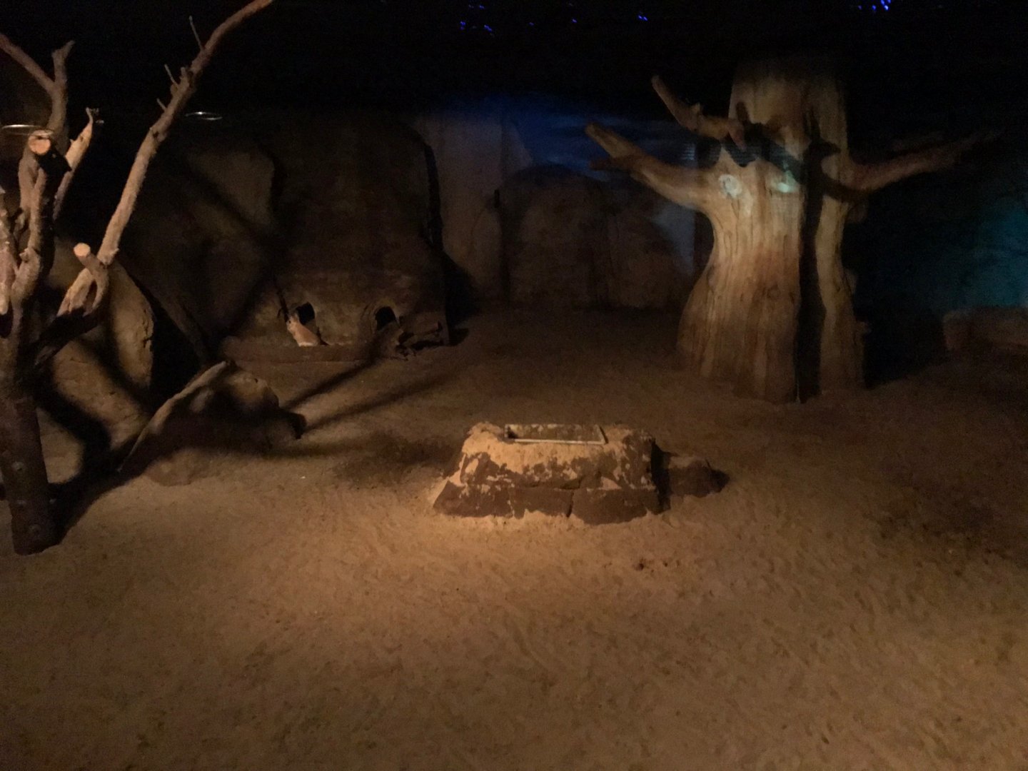 Aardvark and Springhaas exhibit 290118