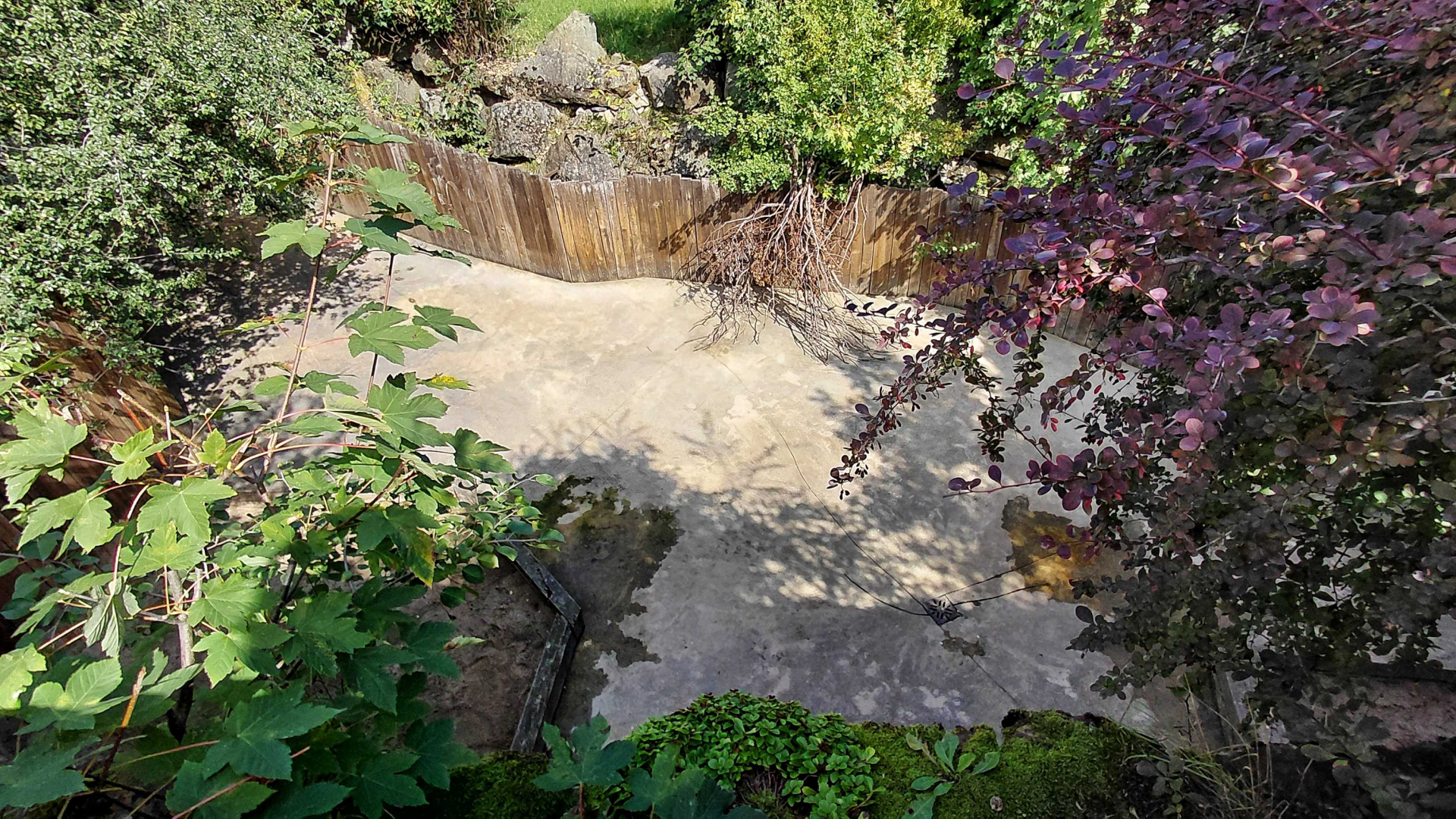 Aardvark + dikdik outdoor exhibit