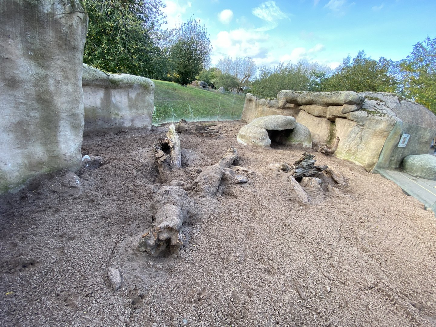 Aardvark enclosure 071020