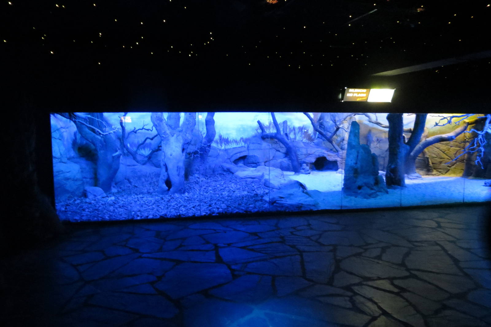 Aardvark enclosure 140216