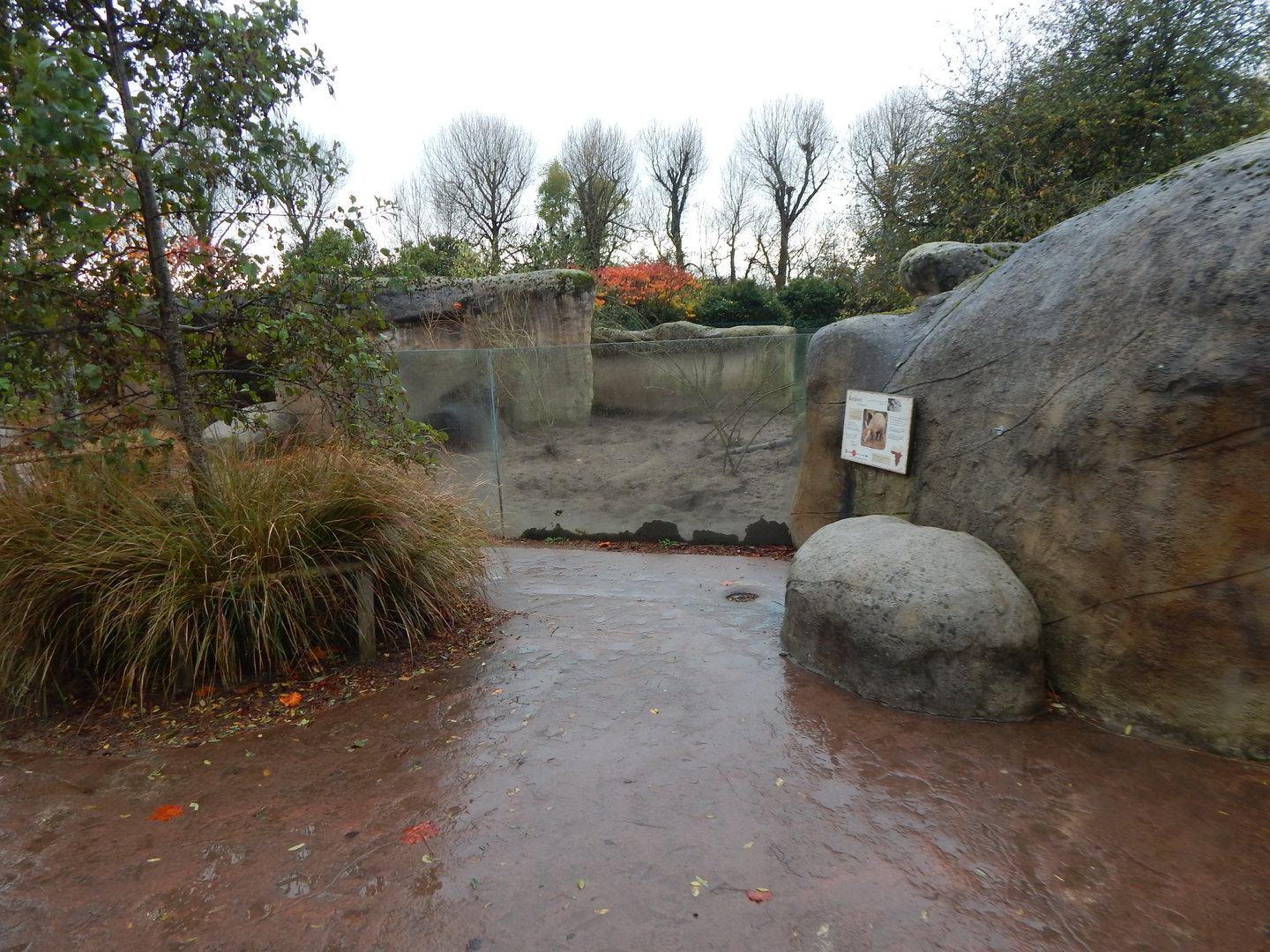Aardvark enclosure 221022