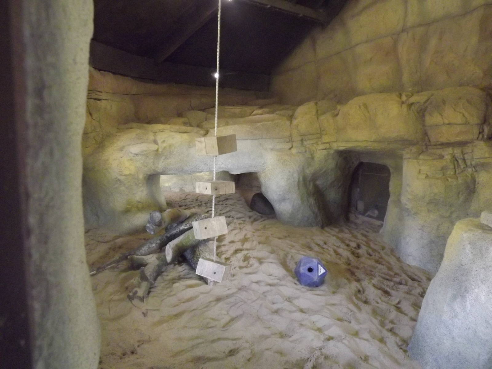 Aardvark enclosure at Blackpool Zoo 25/03/12