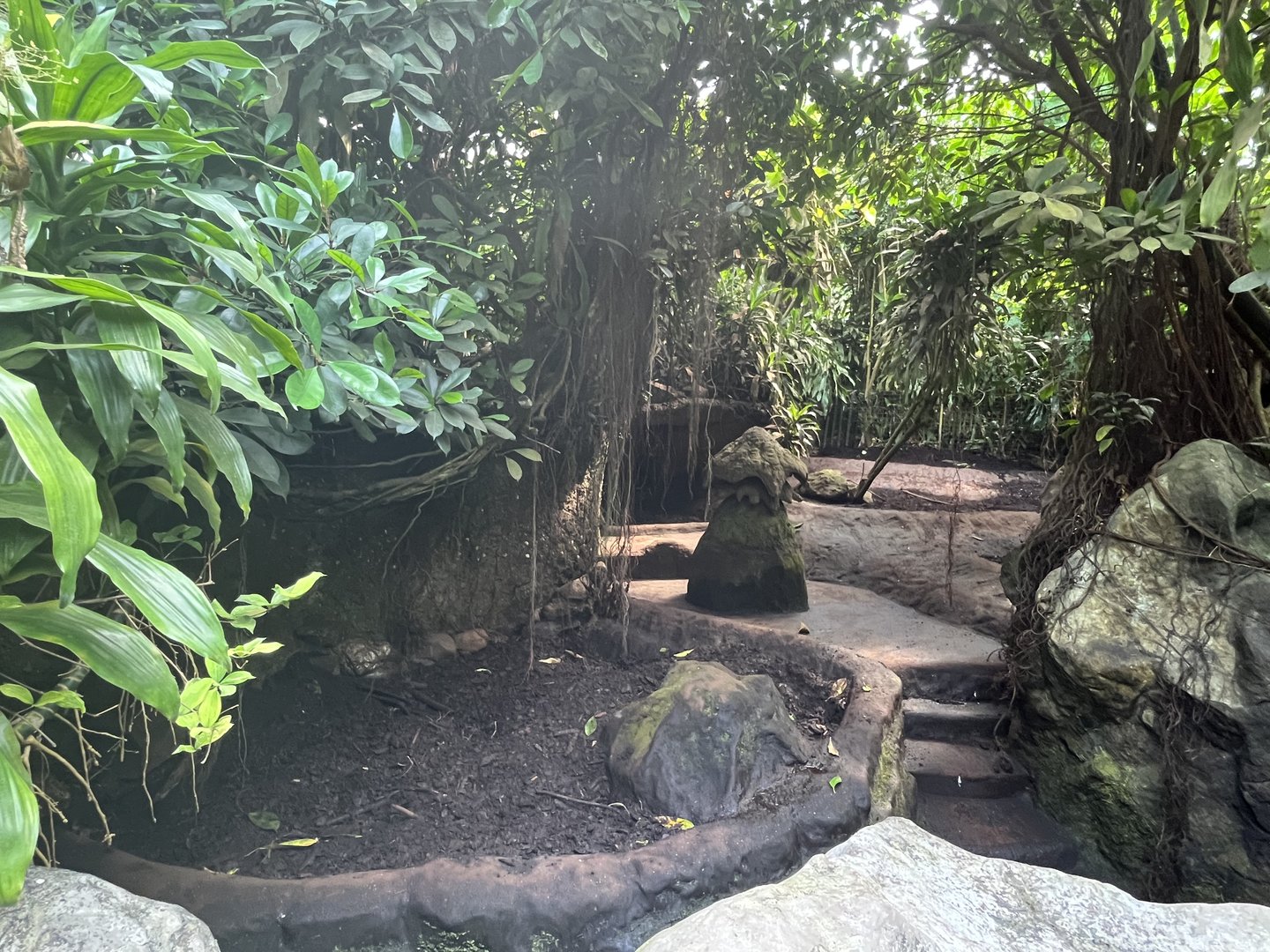 Aardvark enclosure in Bush 6.7.23