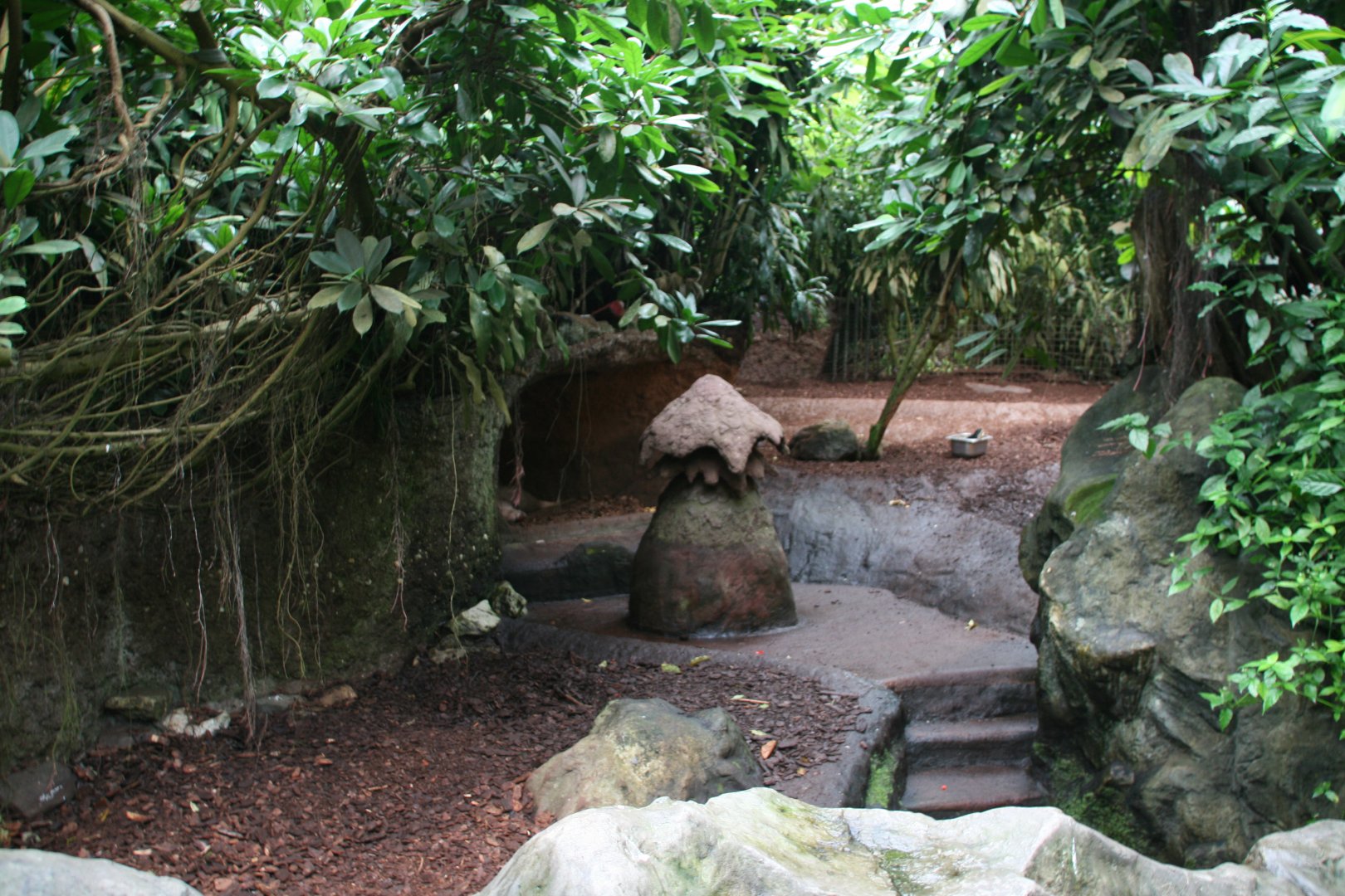Aardvark enclosure