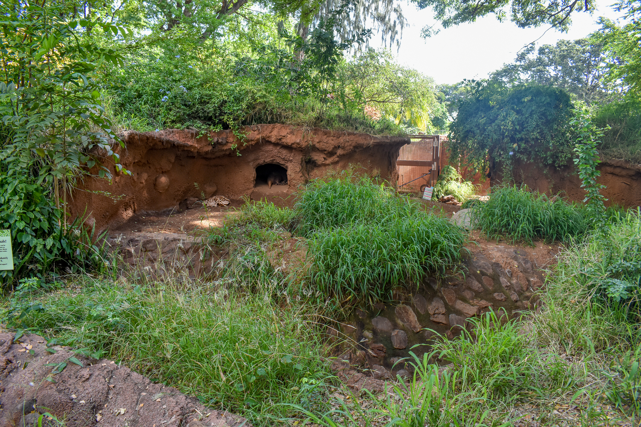Aardvark enclosure