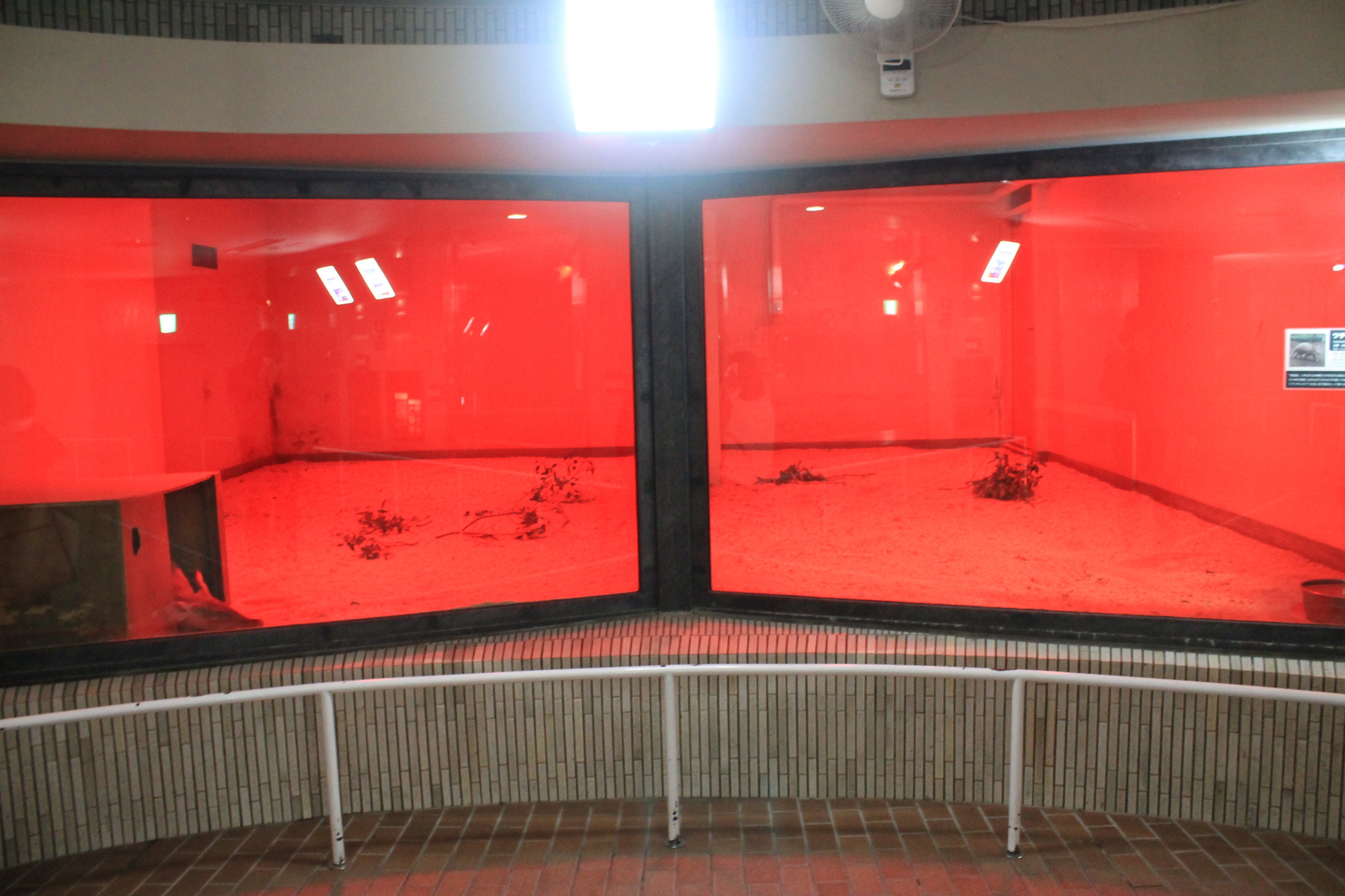 Aardvark enclosures