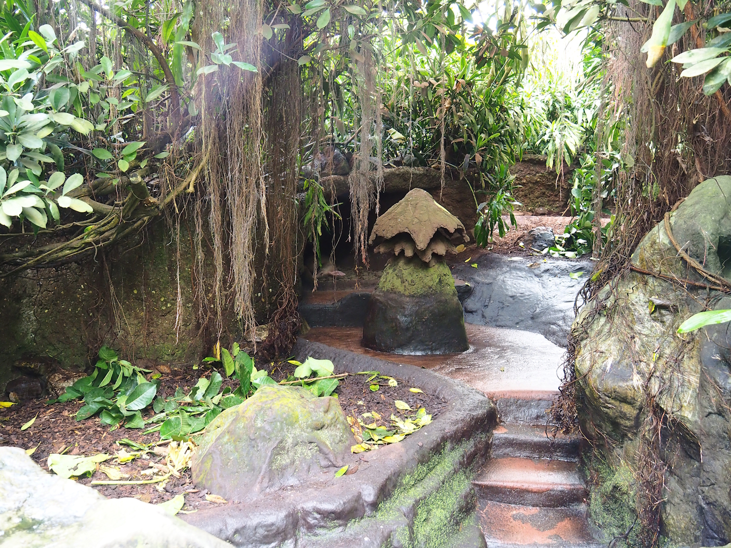 Aardvark exhibit, 2023-10-07