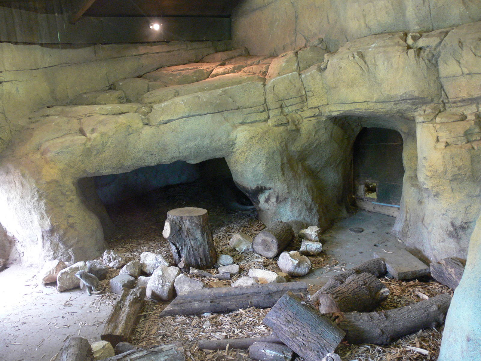 Aardvark Exhibit at Blackpool Zoo, 16/08/14