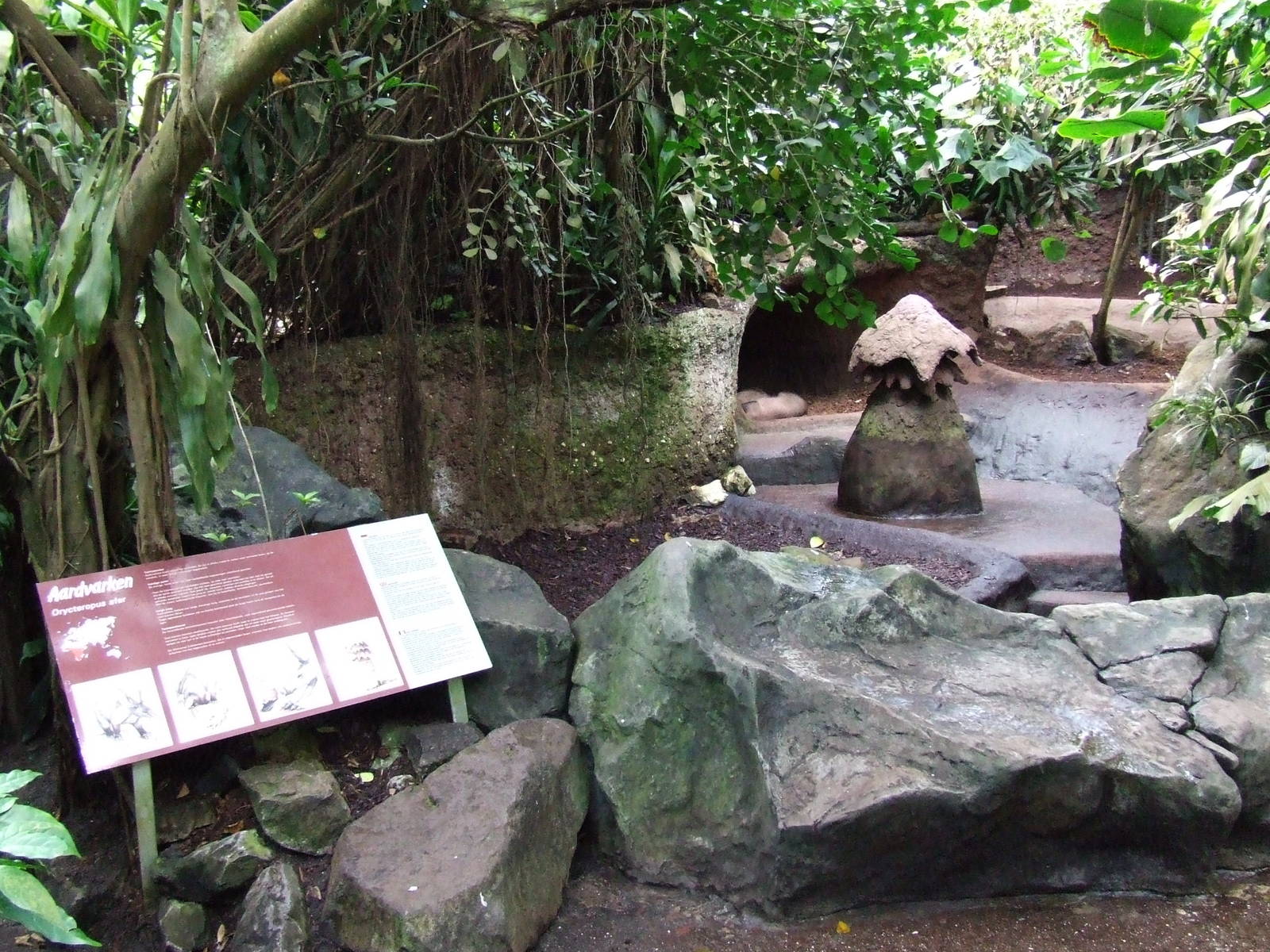 Aardvark exhibit, Burgers Bush