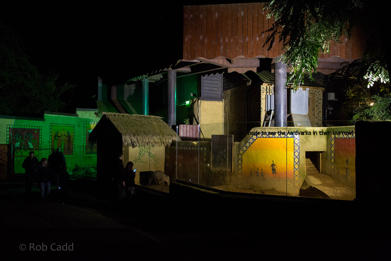 Aardvark (exhibit) : Colchester : 19 Sep 2015