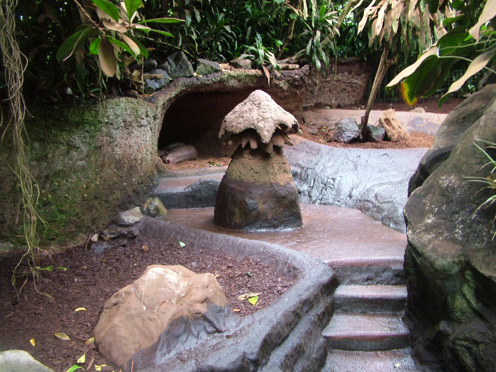Aardvark Exhibit in Burgers Bush at Burgers Zoo Arnhem, 29/08/10