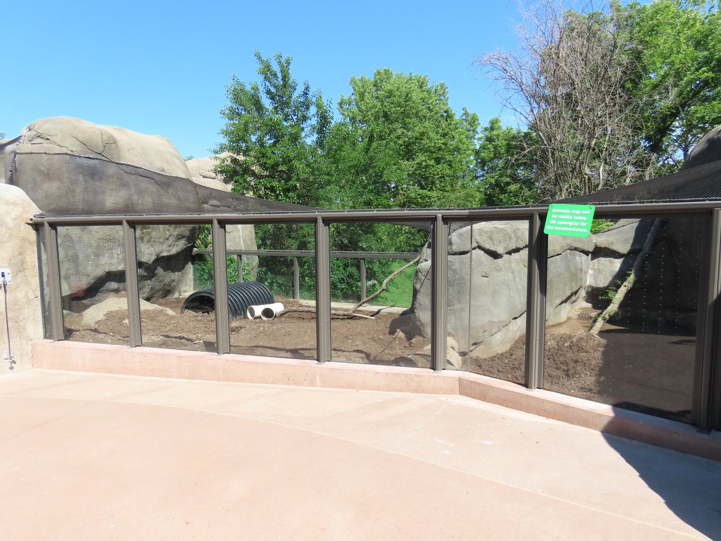 Aardvark Exhibit - Kopje Renovation