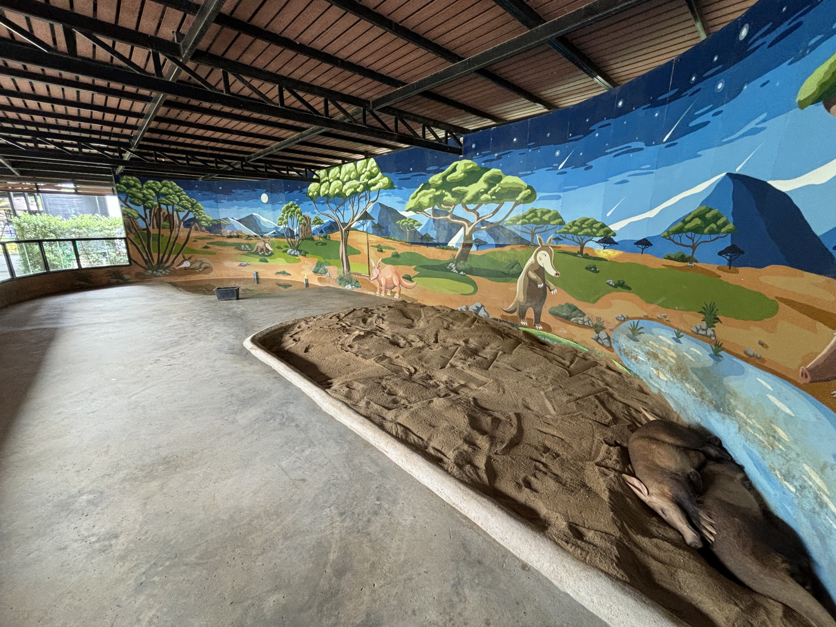 Aardvark Exhibit - Lion Park