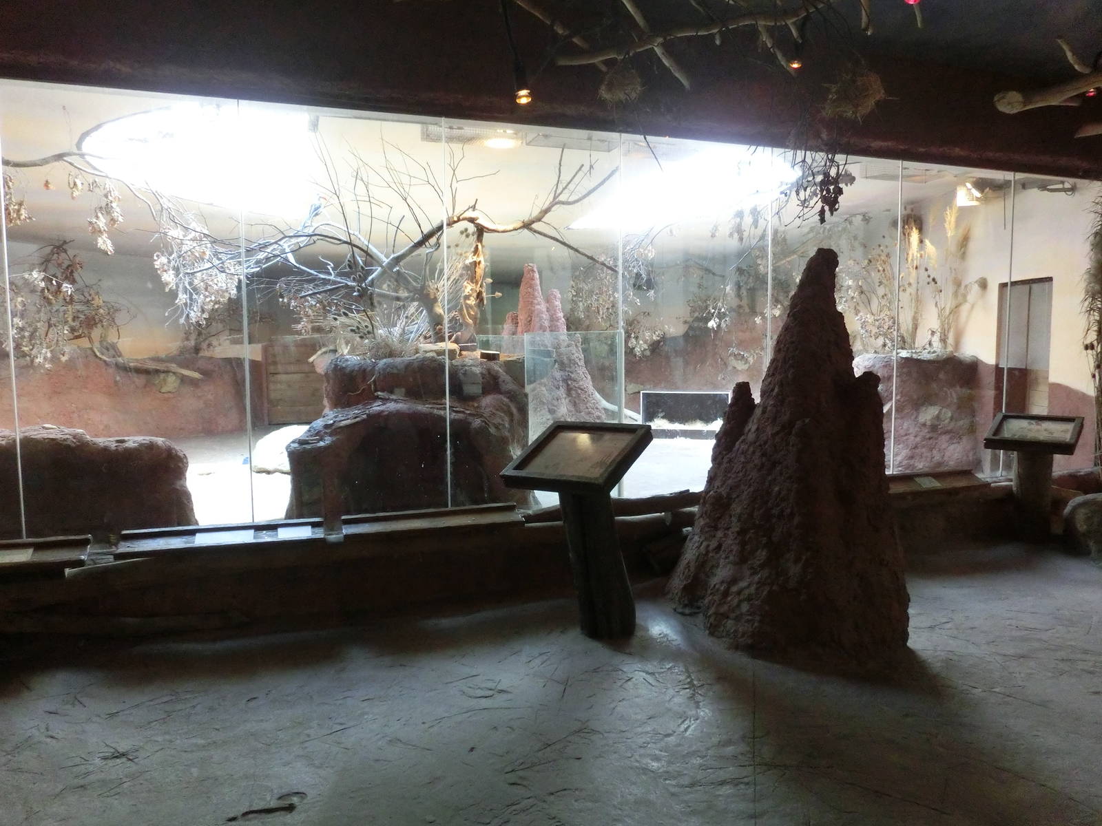 aardvark exhibit - Zoo Praha