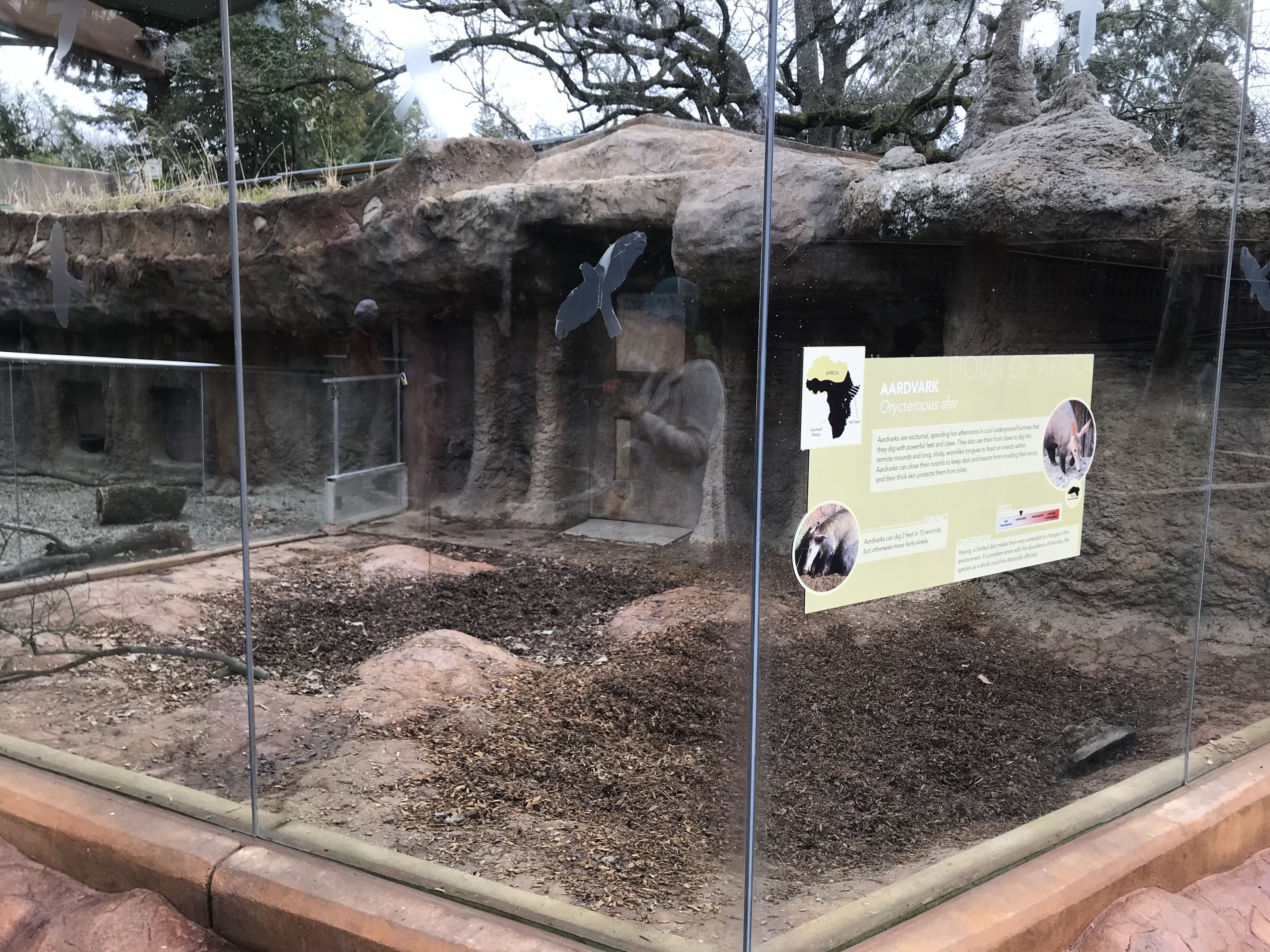 Aardvark Exhibit