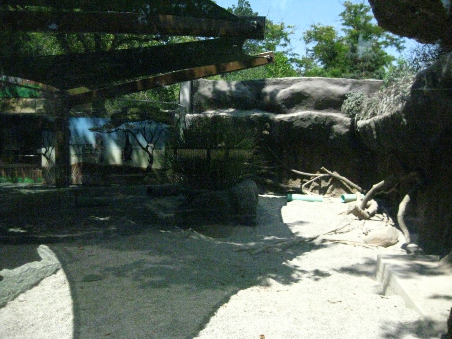 Aardvark/Fennec Fox Exhibit