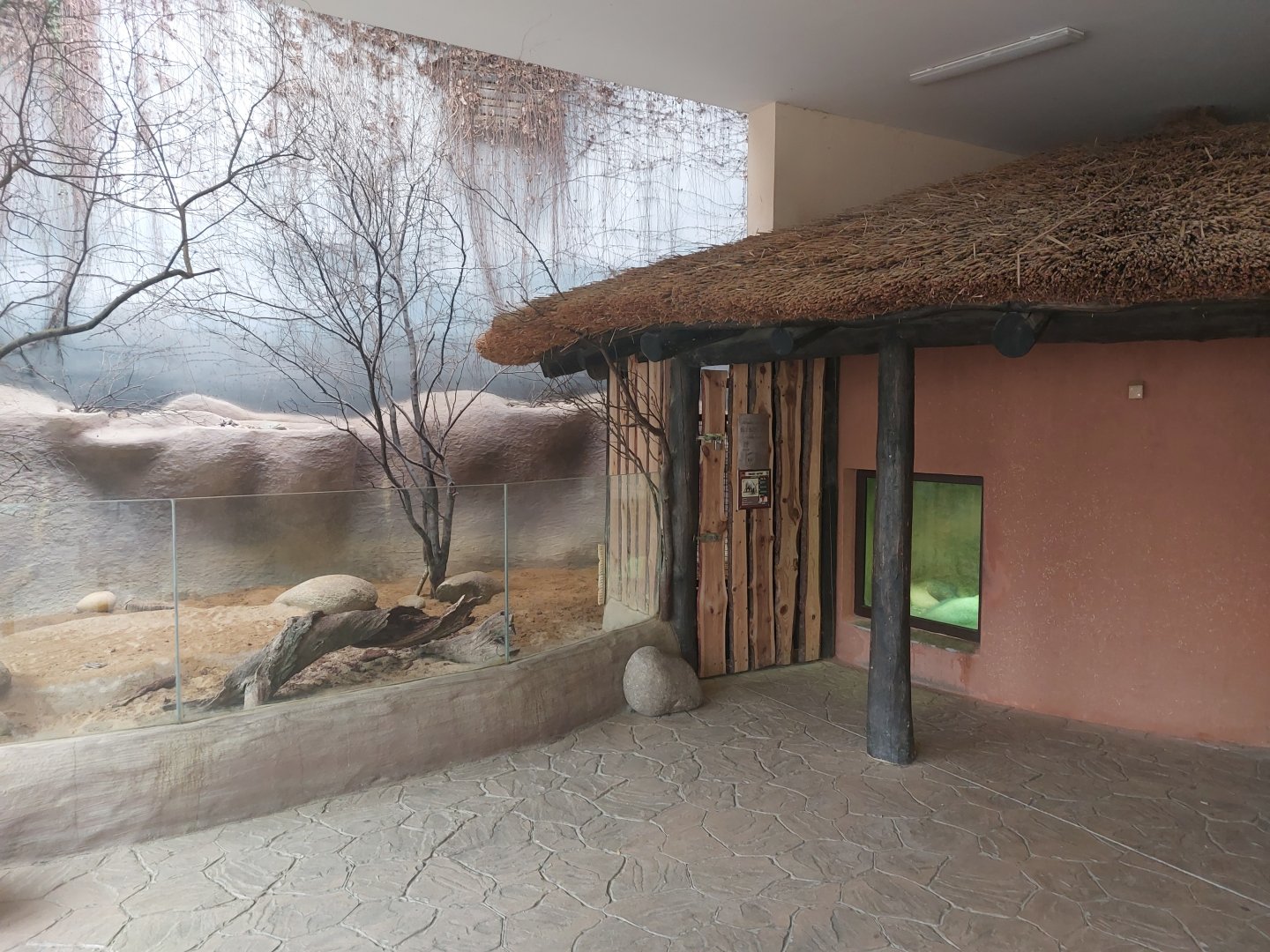 Aardvark indoor enclosure