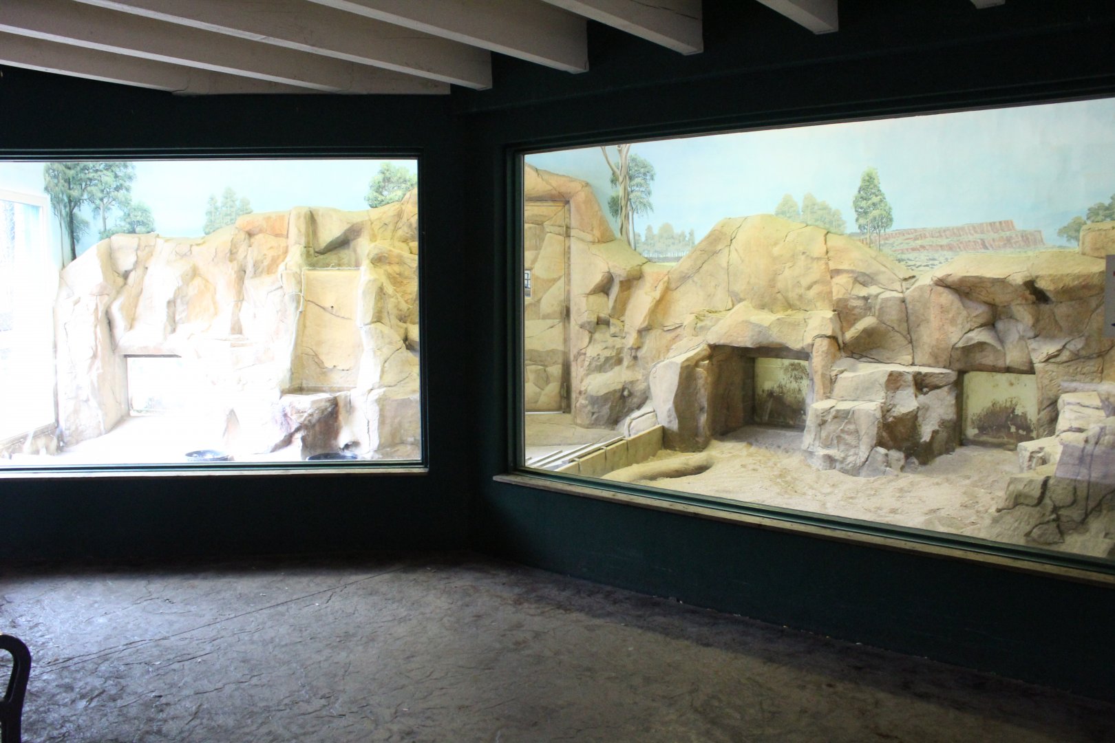 Aardvark Indoor Exhibit - Children's Zoo