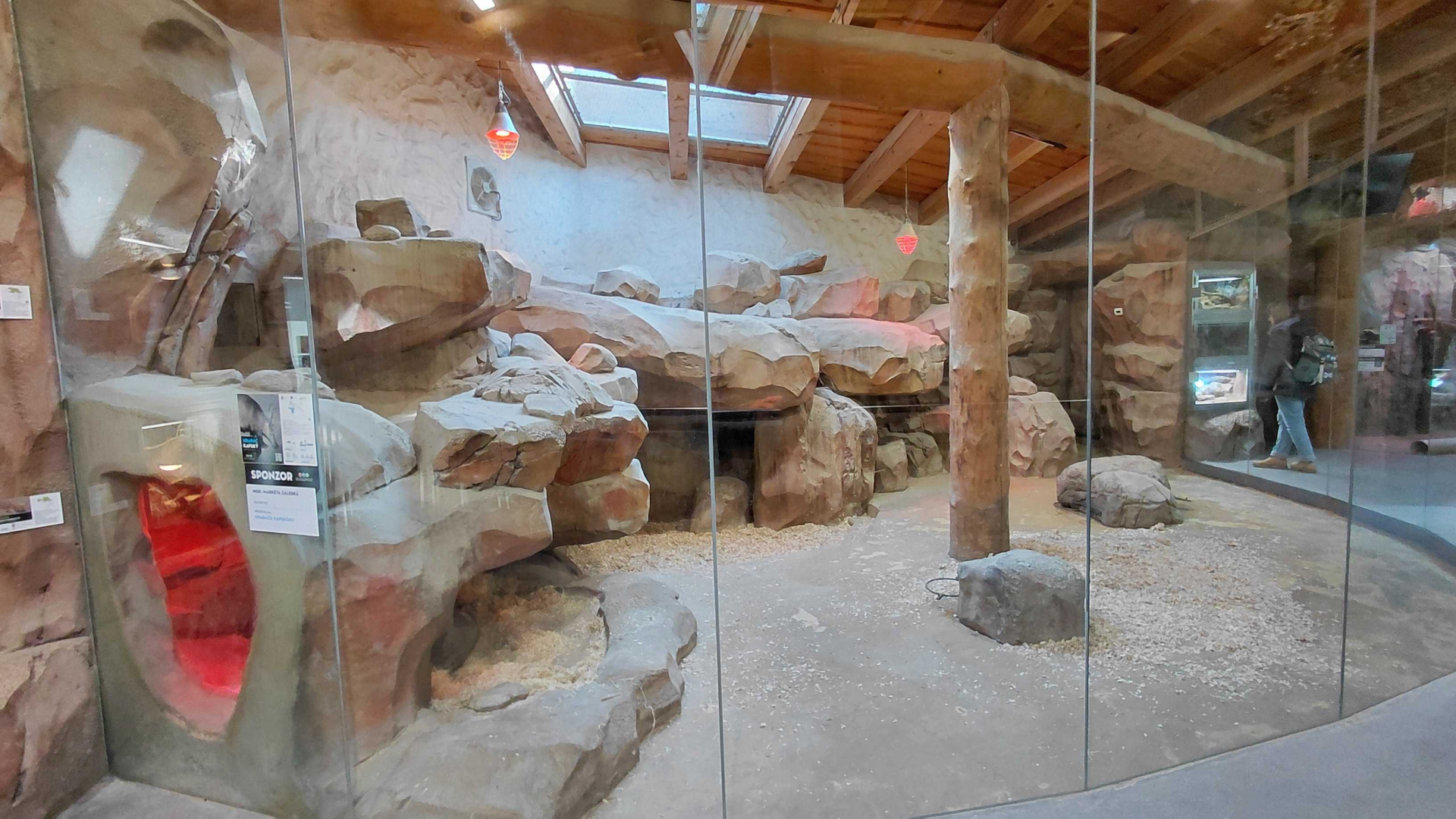 Aardvark indoor exhibit