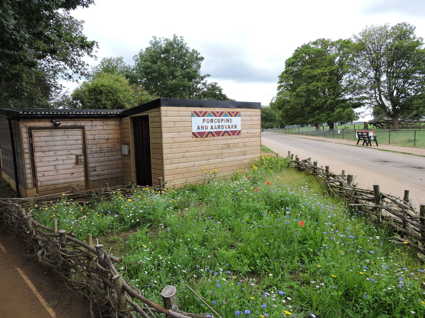 Aardvark Indoor Viewing