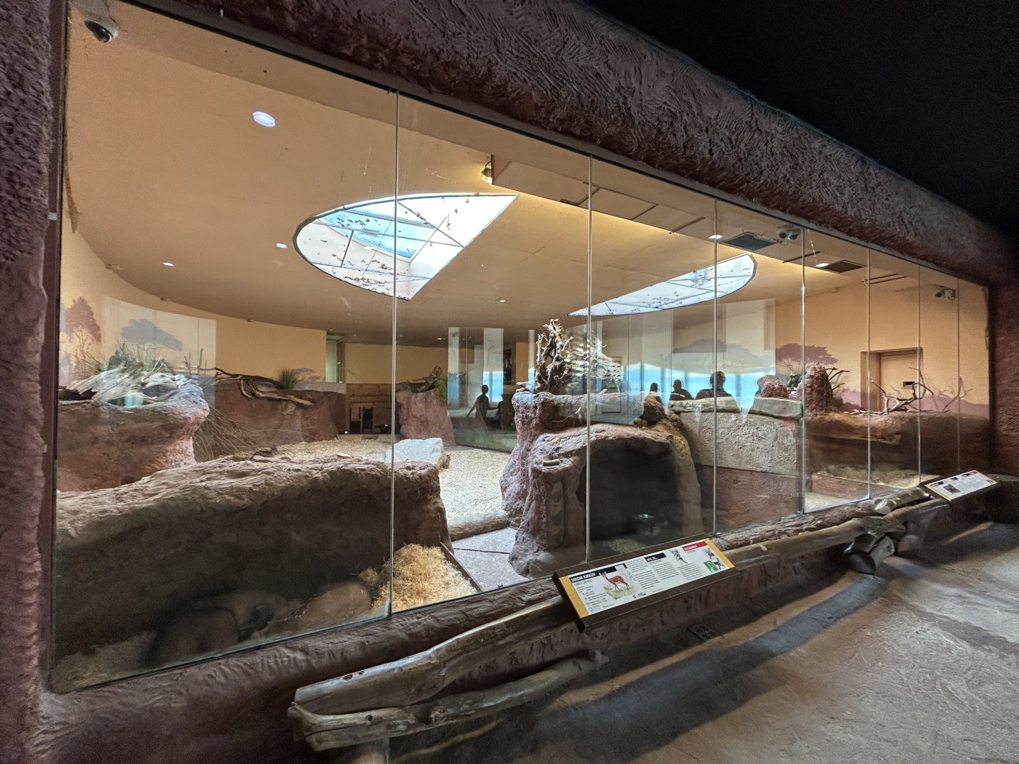 Aardvark & Kirk’s Dik-dik Exhibit - Africa House