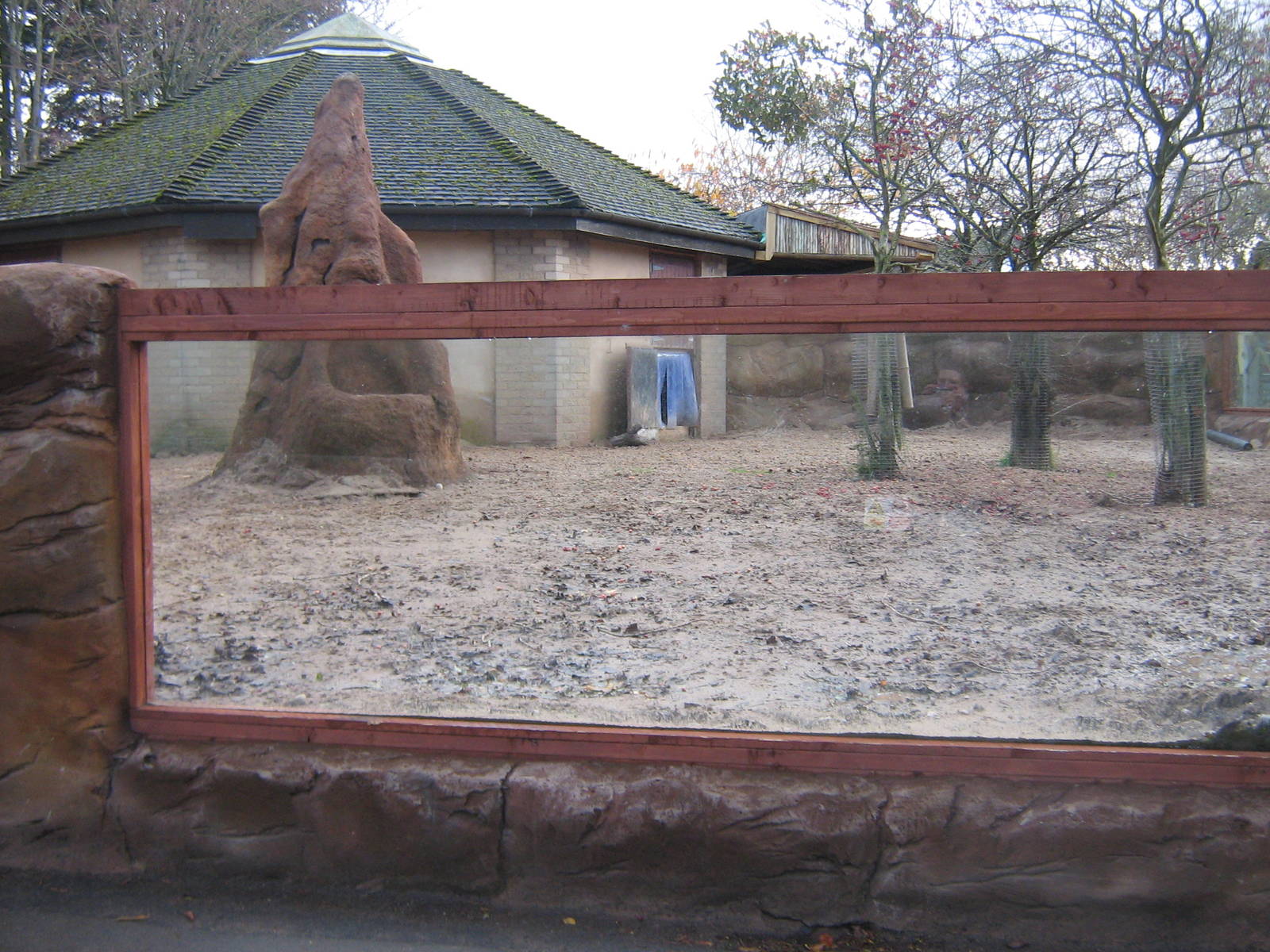 Aardvark Outdoor Enclosure.