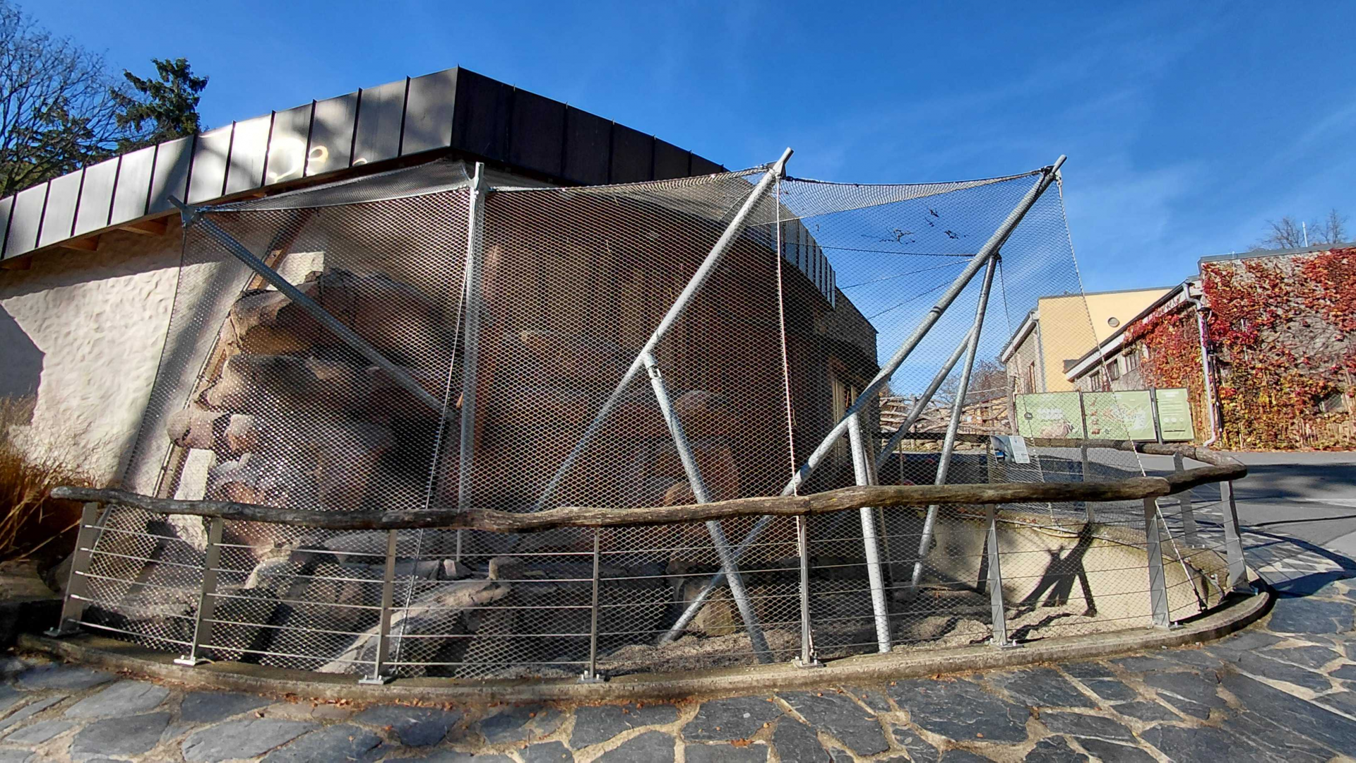 Aardvark outdoor exhibit