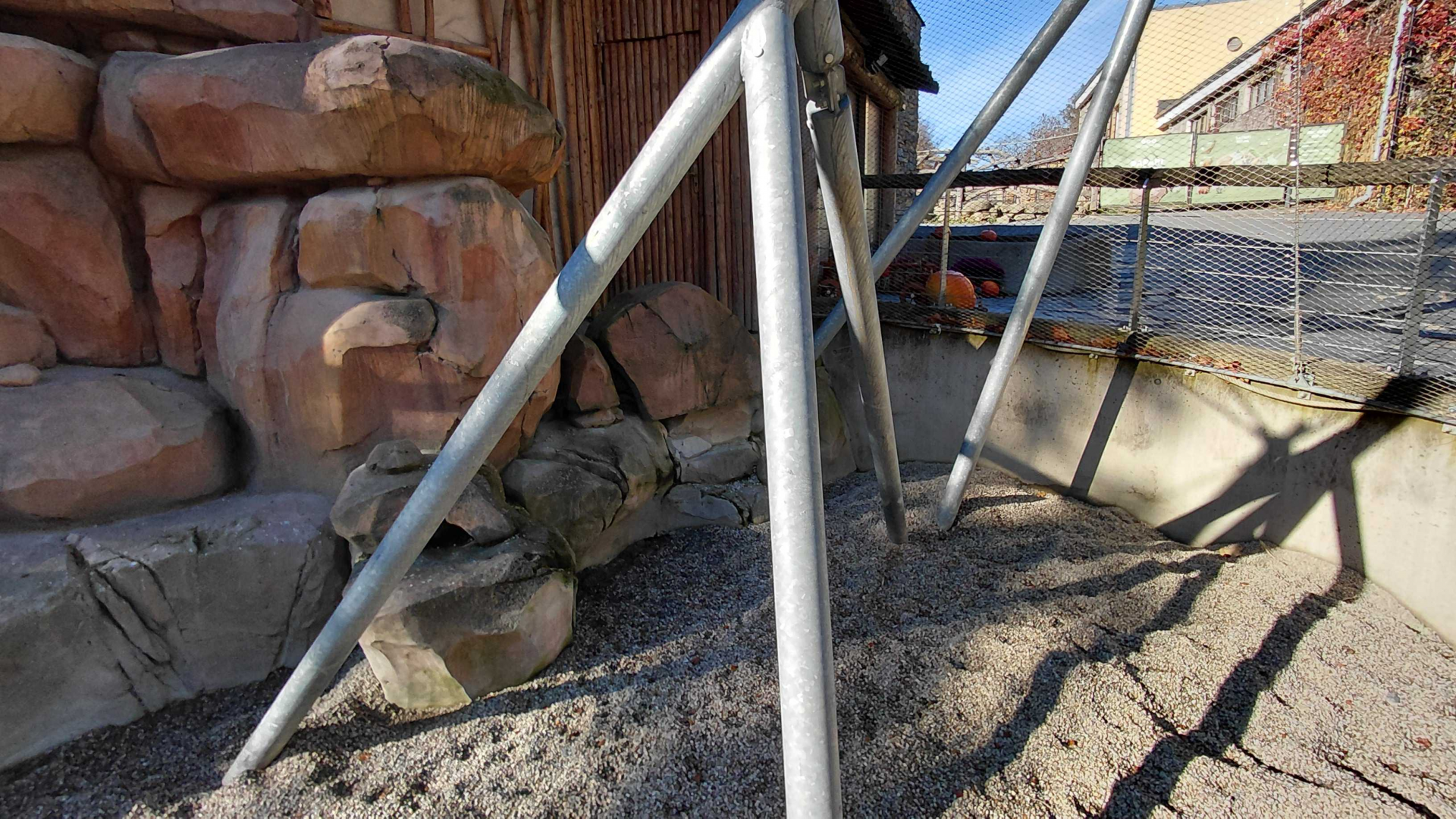 Aardvark outdoor exhibit