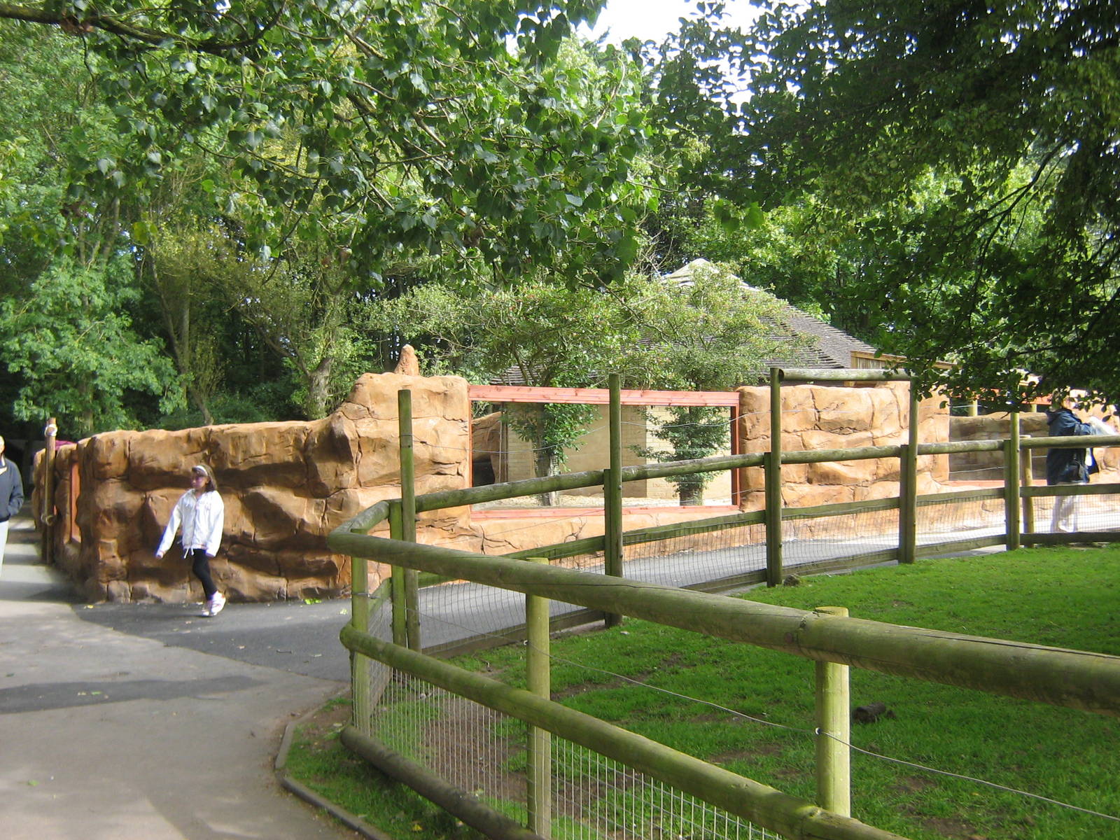 aardvark outside enclosure