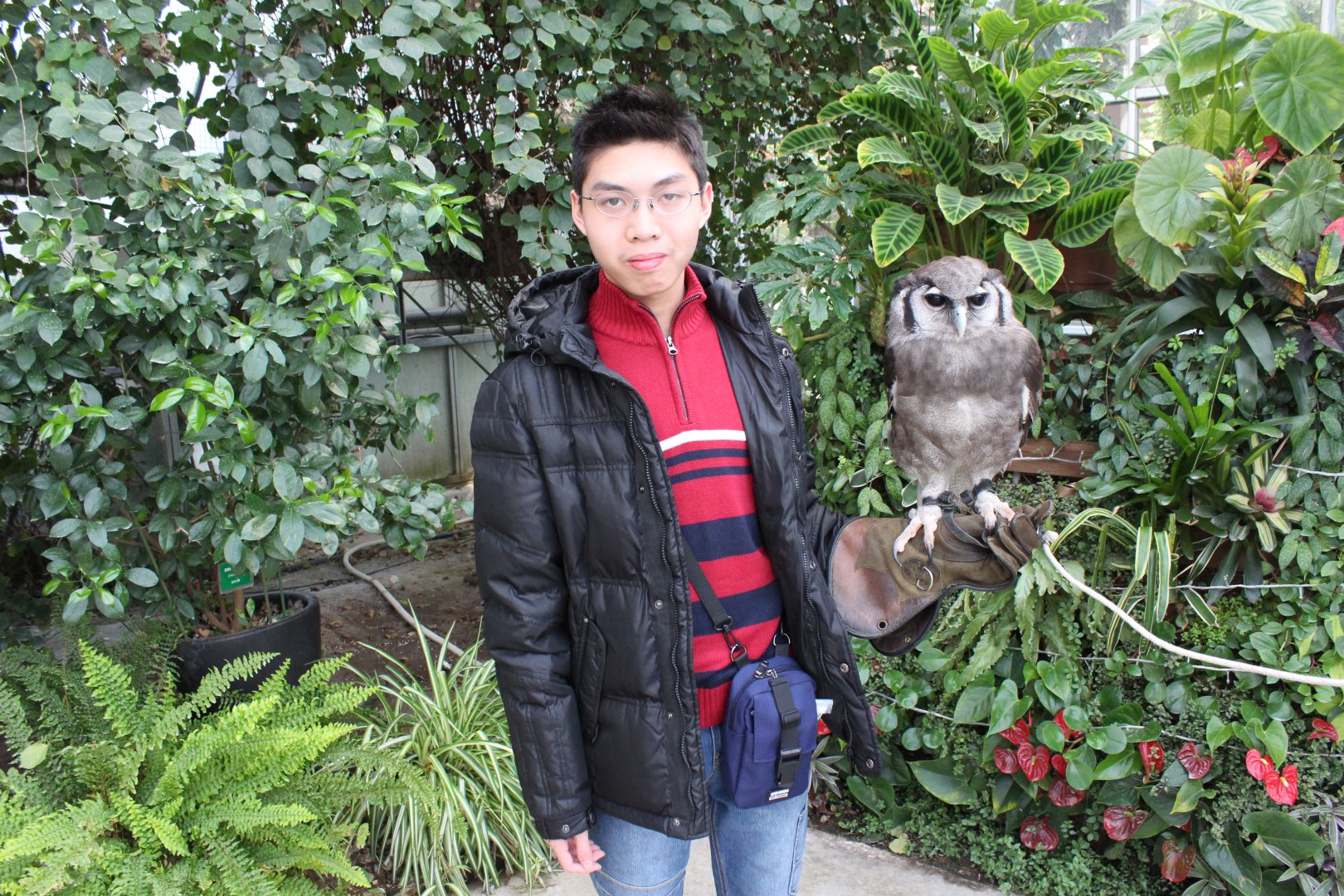 Aardvark250 with an owl, Kobe Animal Kingdom