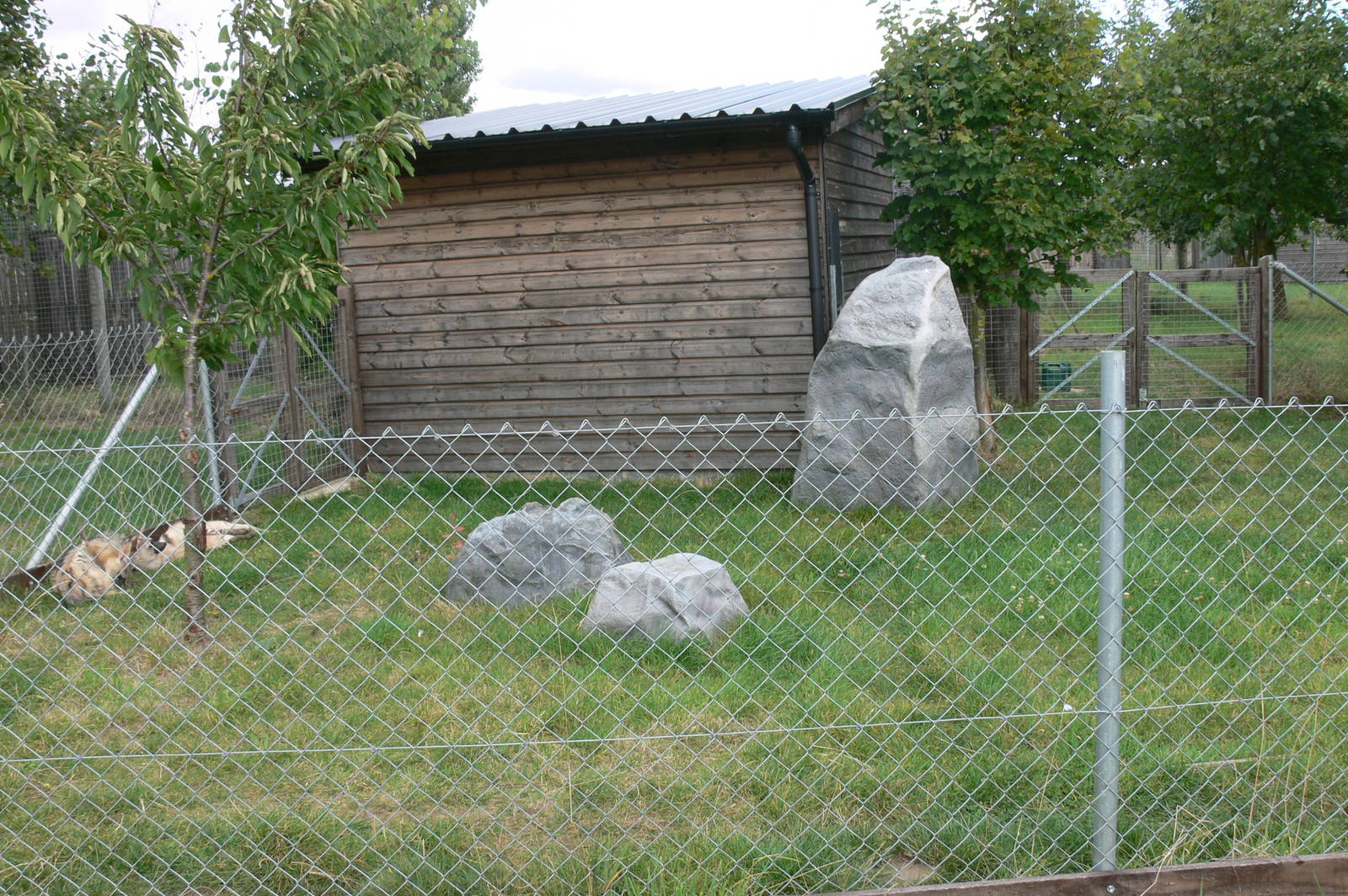 Aardwolf Enclosure at Hamerton Zoo, 23/08/14