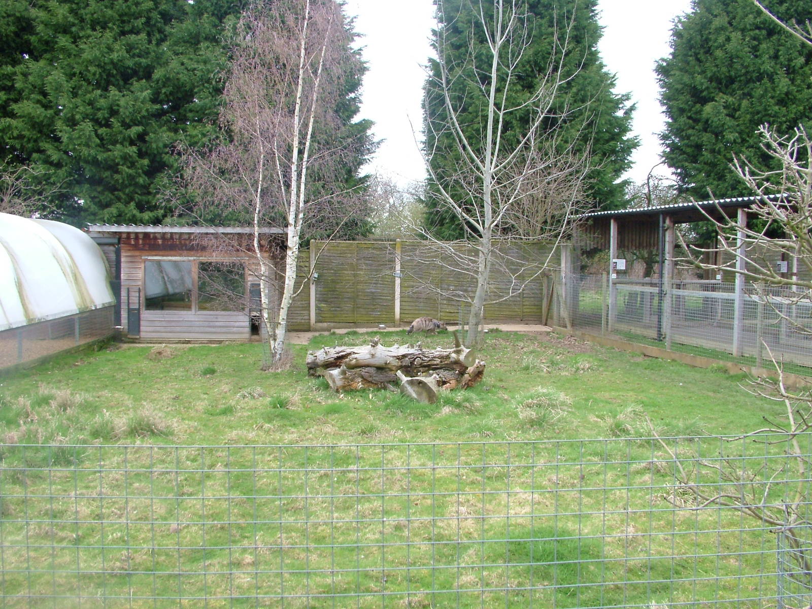 Aardwolf paddock at Hamerton 05/04/10