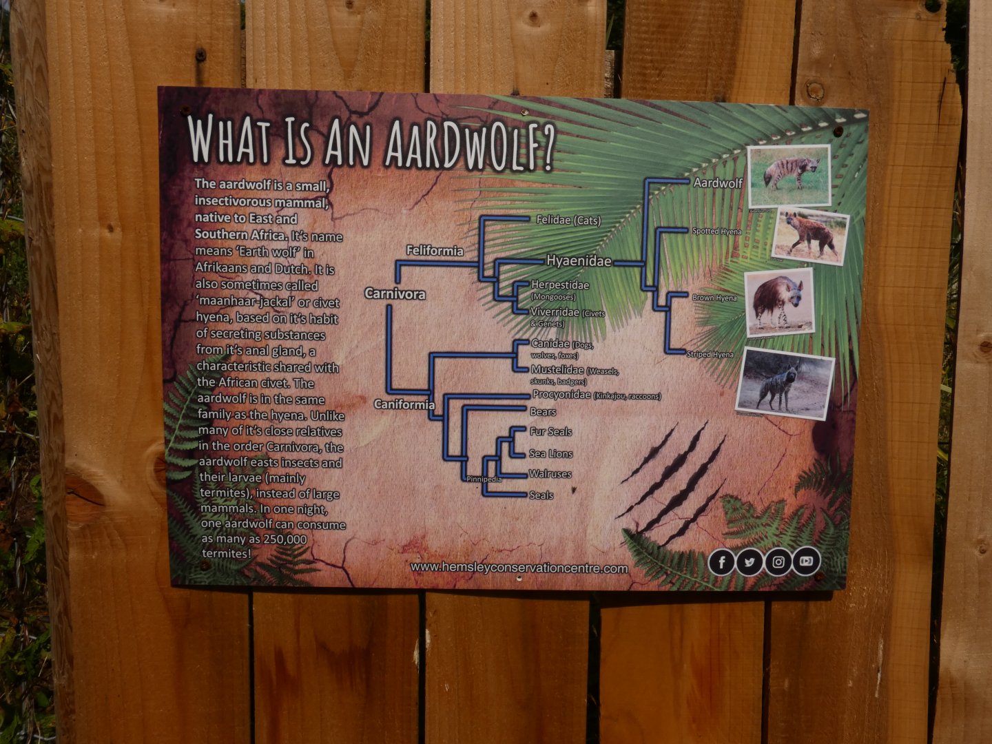 Aardwolf signage