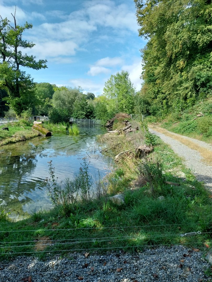 Aare Bank Facilities