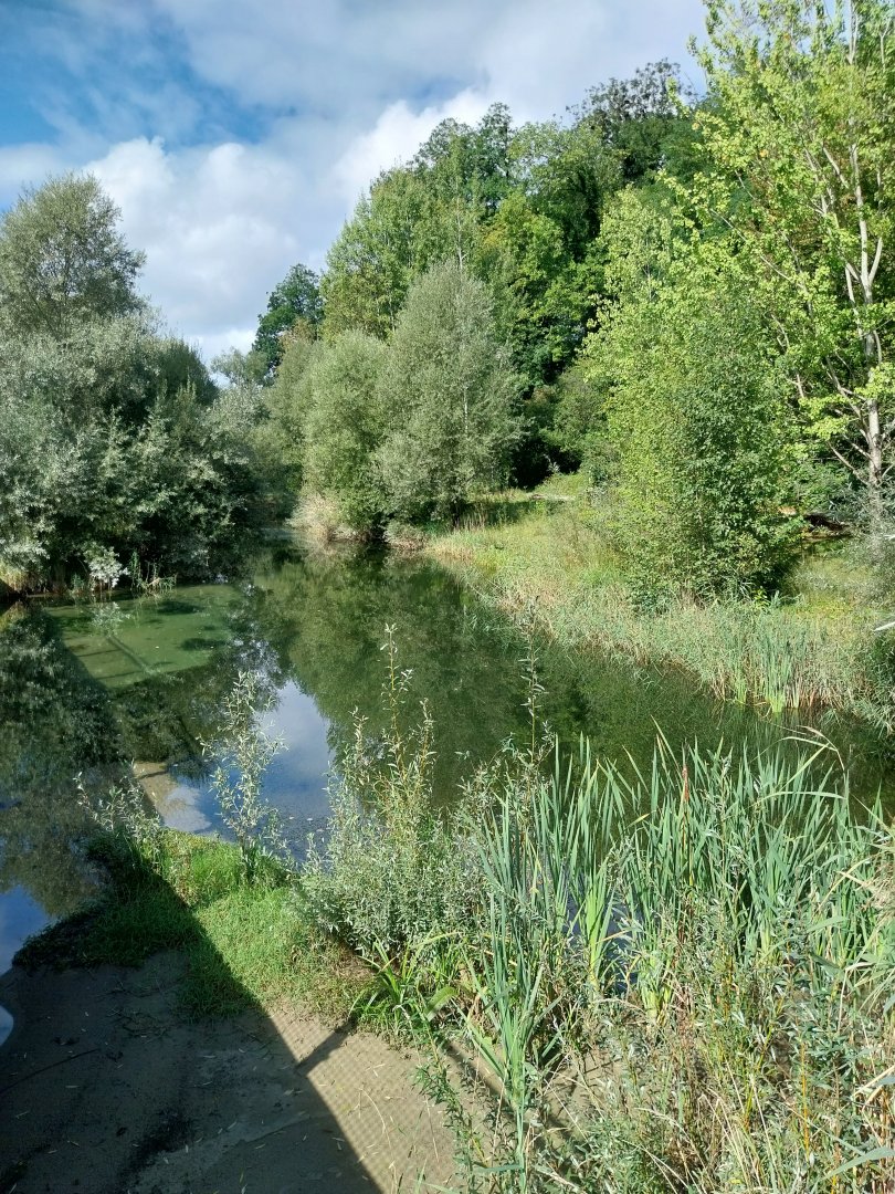 Aare Bank Facilities