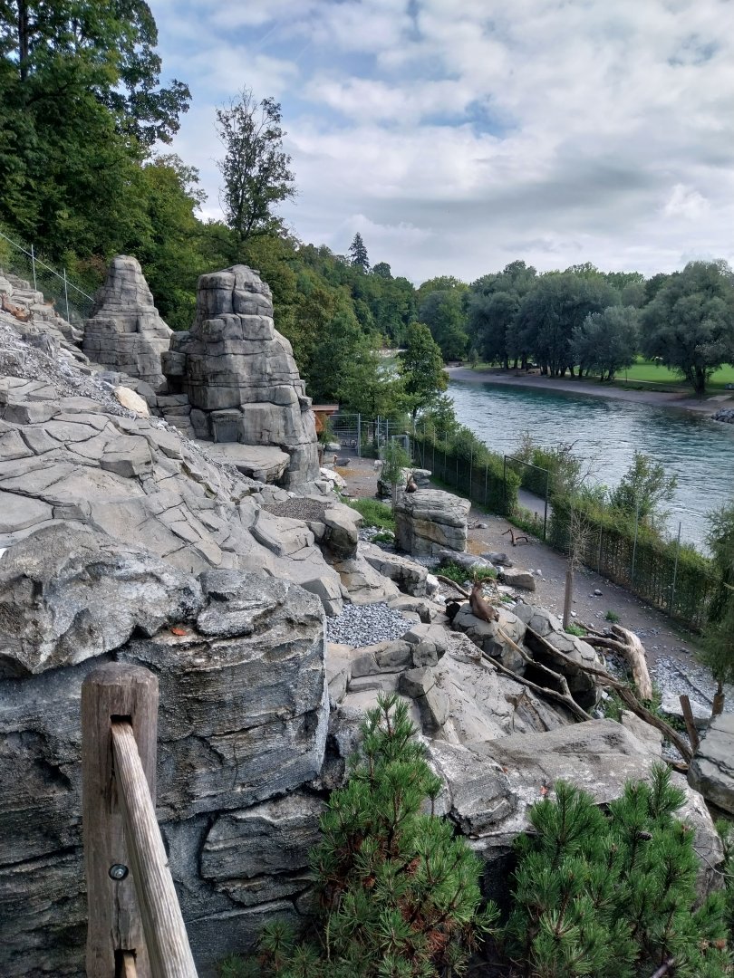 AareAlps complex - Alpine ibex enclosure