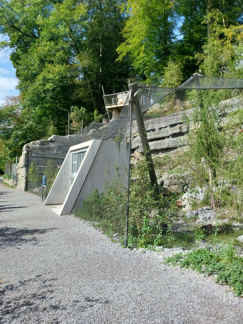 AareAlps complex - Alpine marmot enclosure