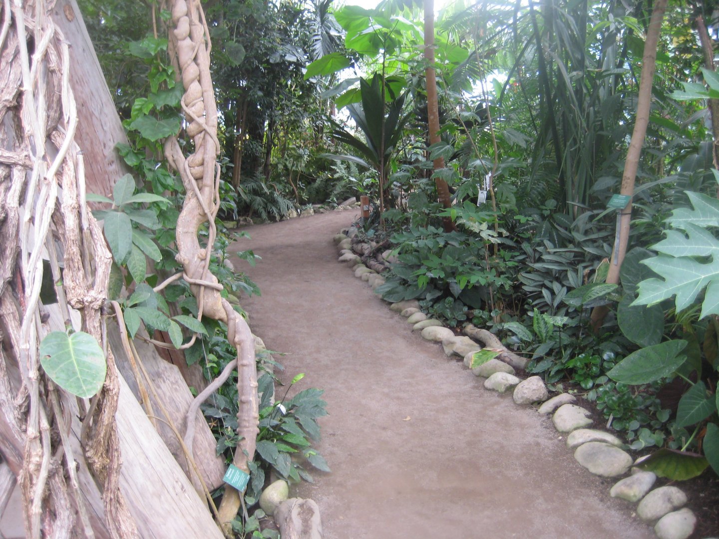 Aarhus Botaniske Have - General view of tropical house