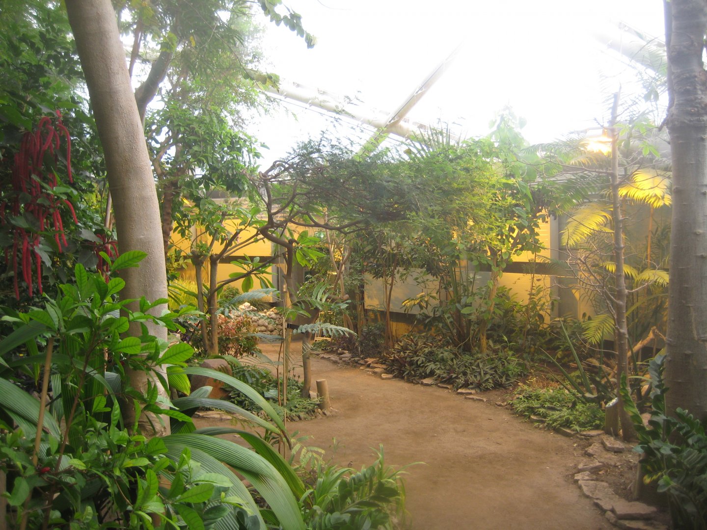 Aarhus Botaniske Have - General view of tropical house
