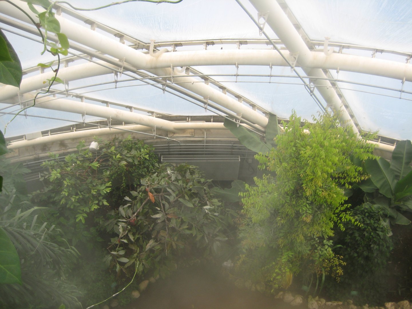 Aarhus Botaniske Have - General view of tropical house