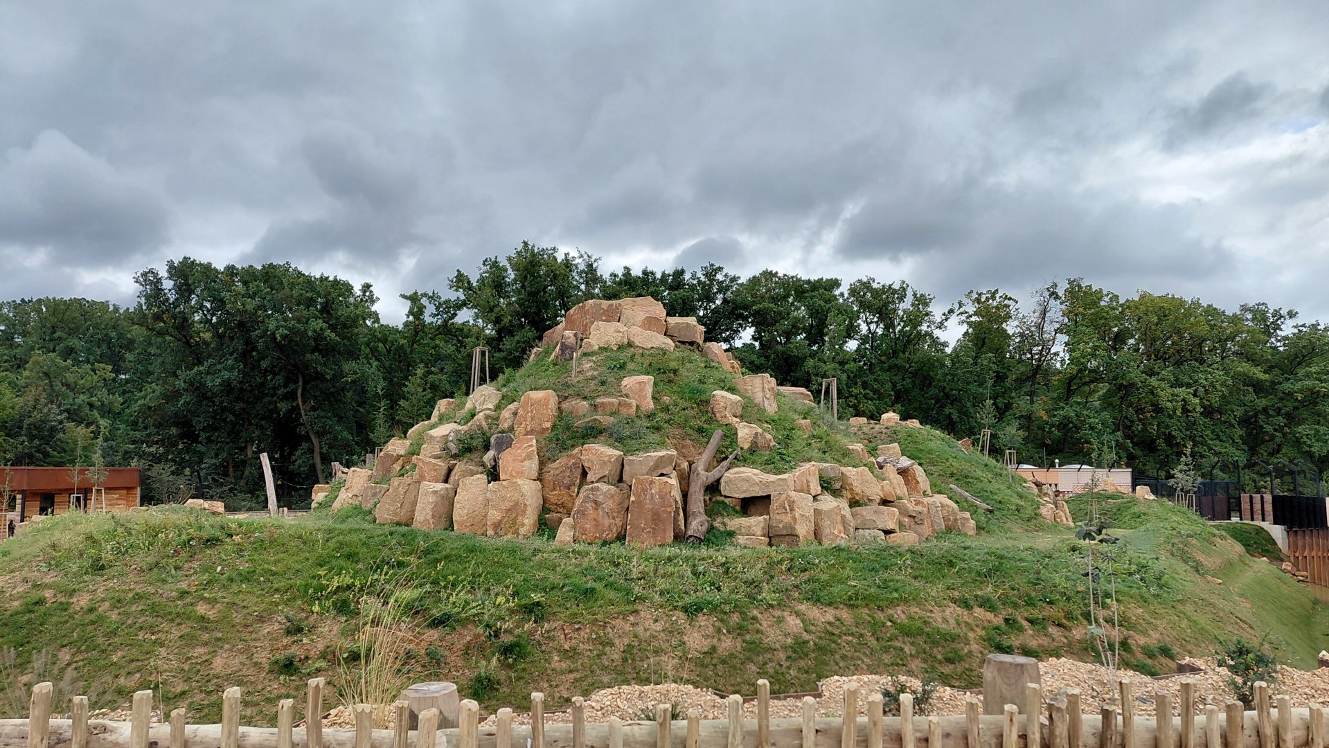 Abamboo - Katanga lion exhibit