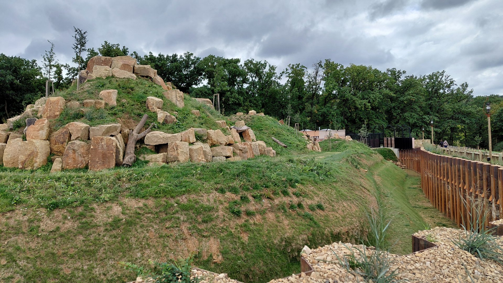Abamboo - Katanga lion exhibit