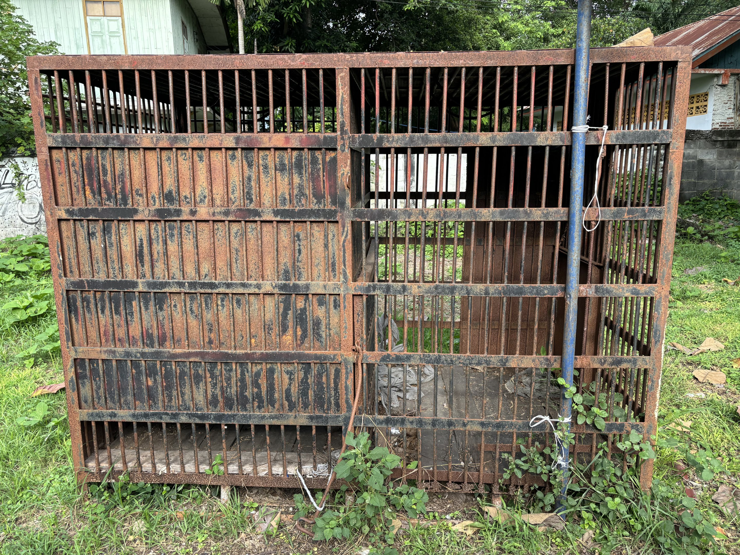Abandoned Cage - Lopburi Zoo