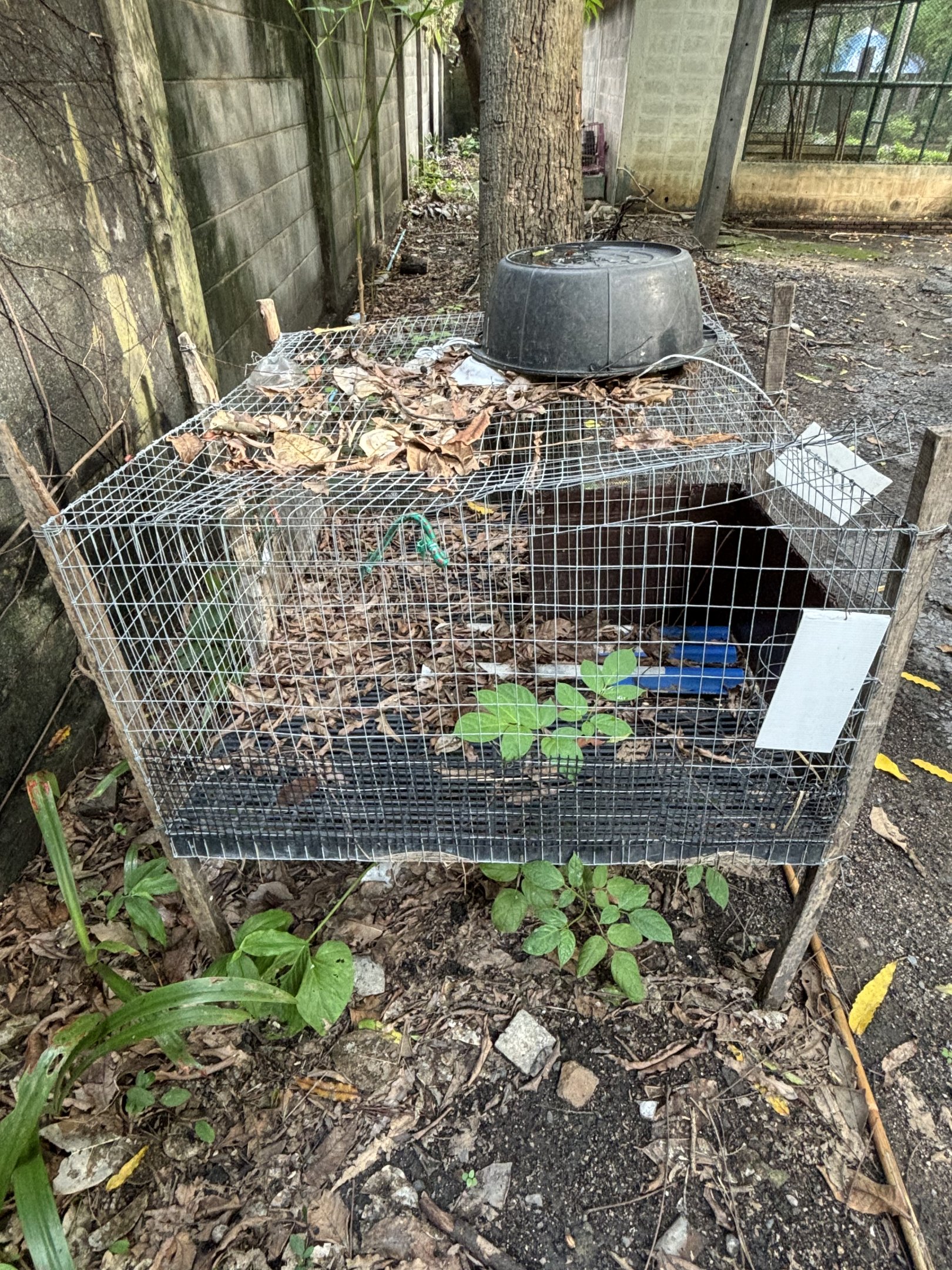 Abandoned Cage - Lopburi Zoo